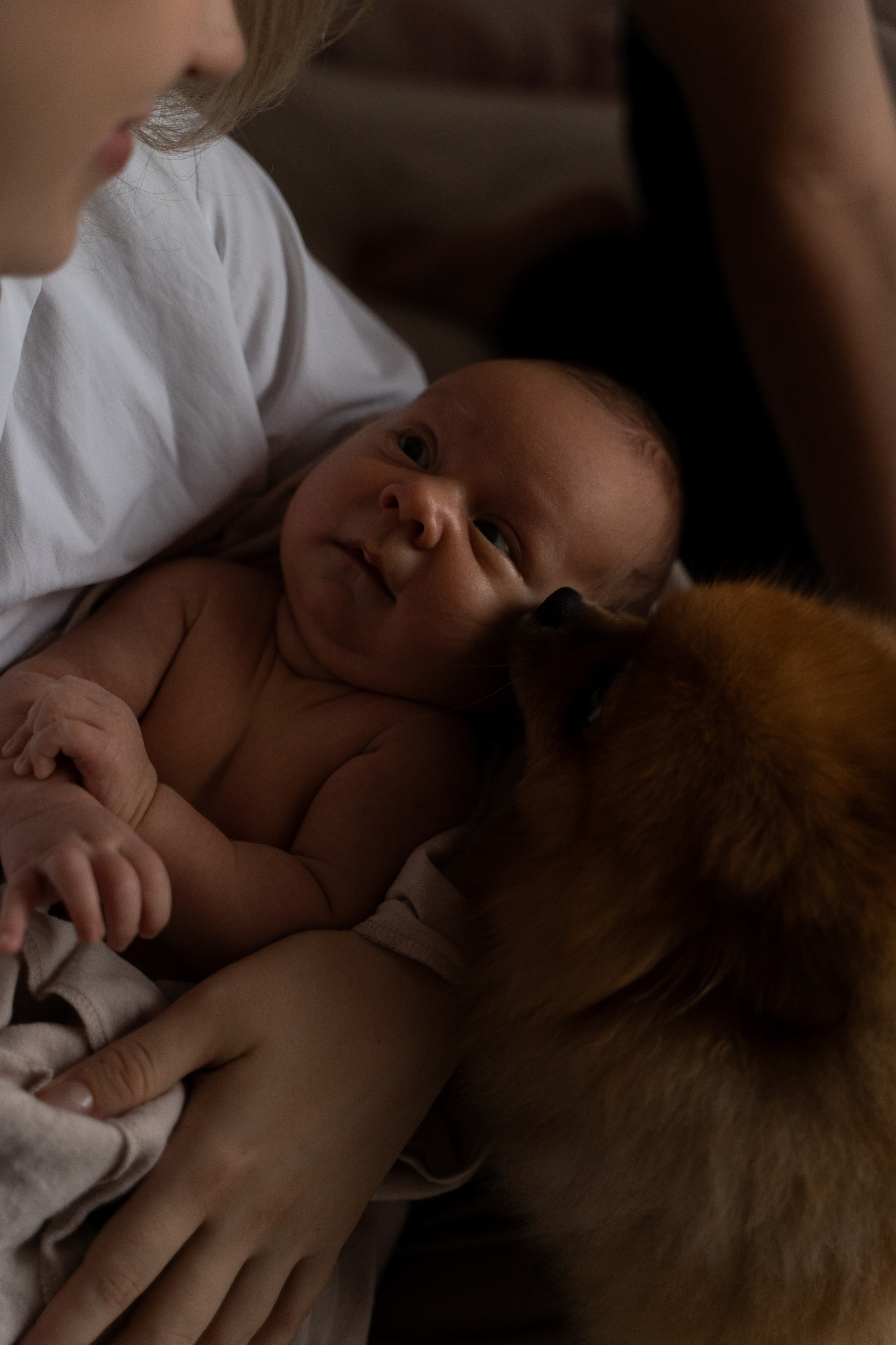 Малыши до года. Фотограф в Иркутске Анна Небесная