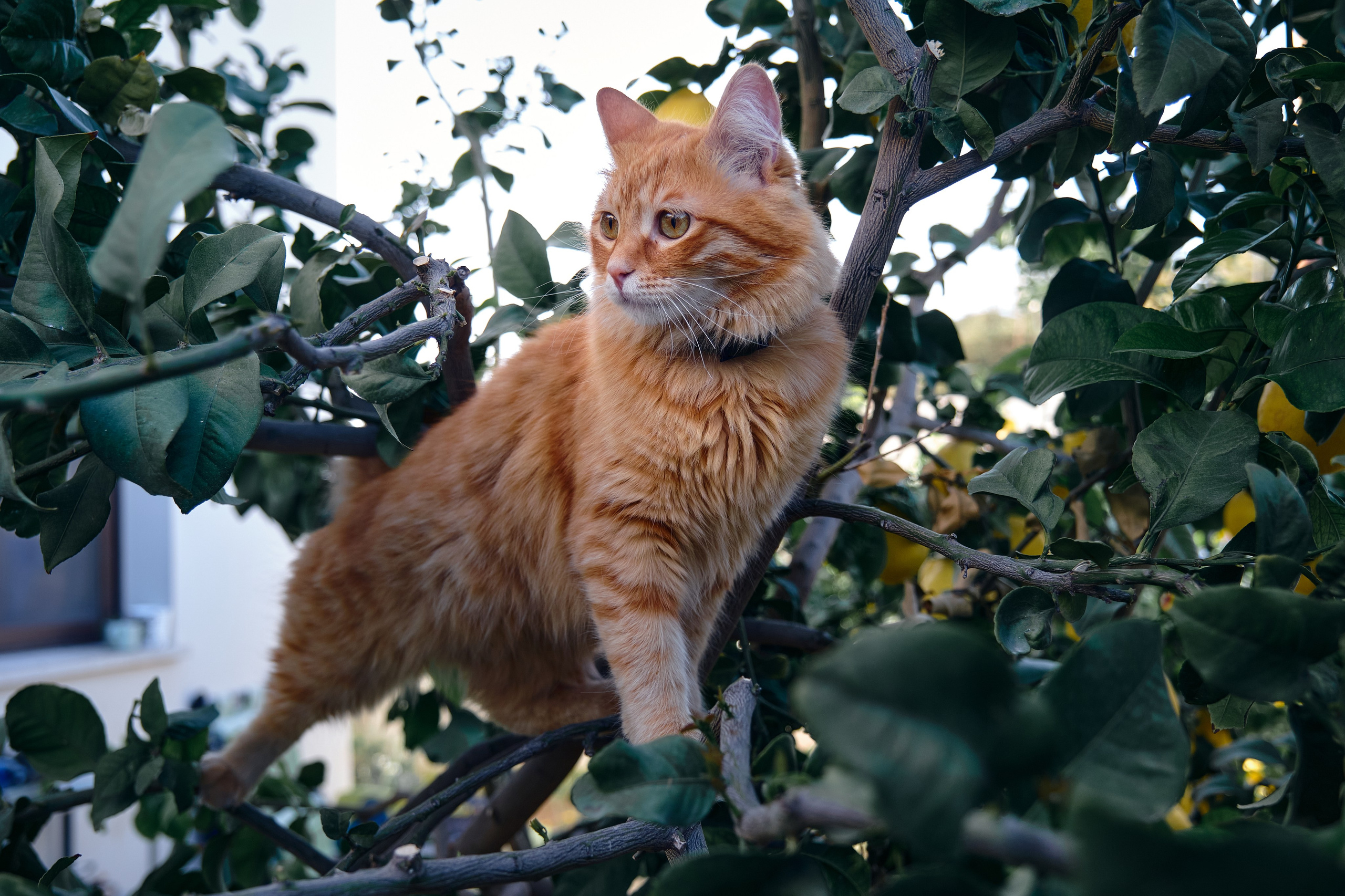 Сyprus > 2024 / april. Aleksandr Kobtsev