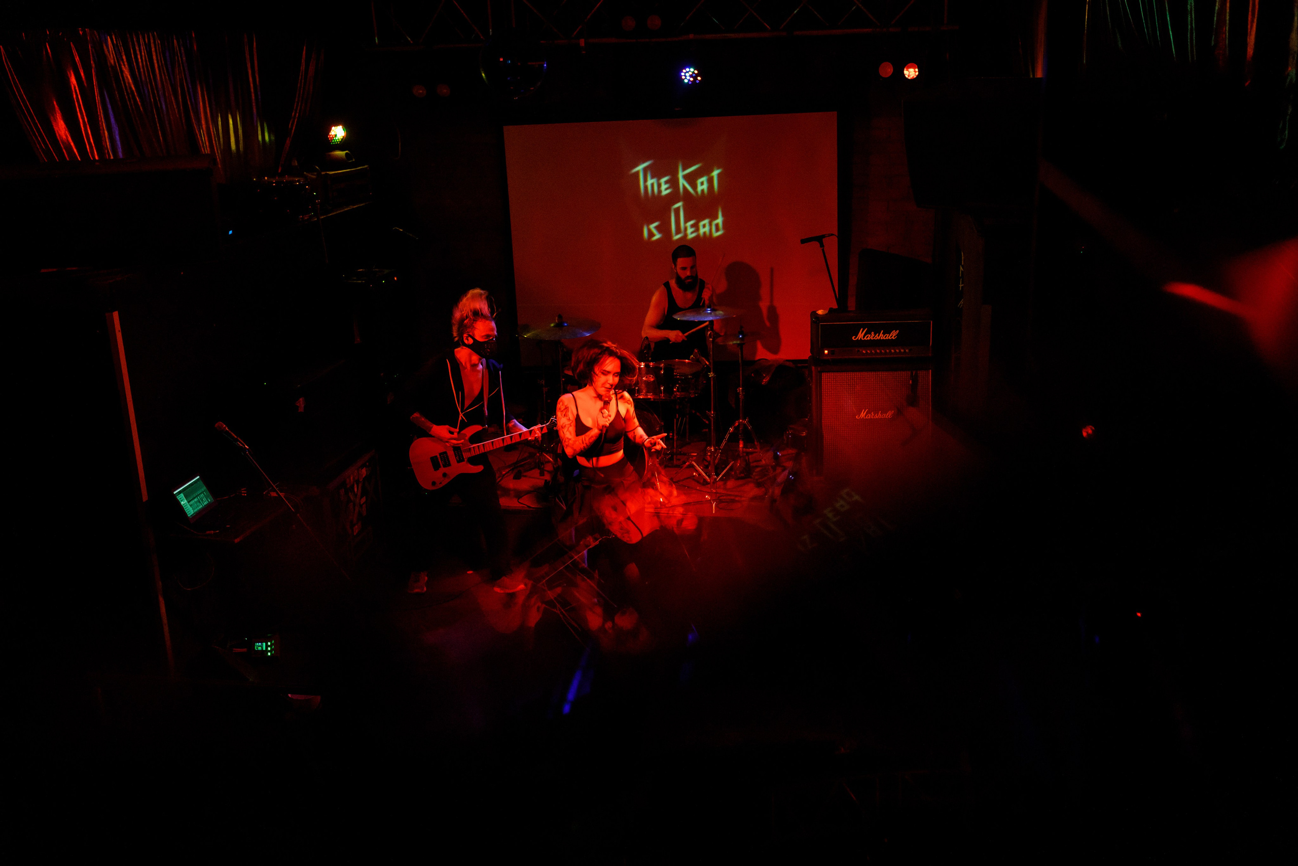 THE KAT IS DEAD. Фотограф Елена Богачева (lenalena_na_na_na)