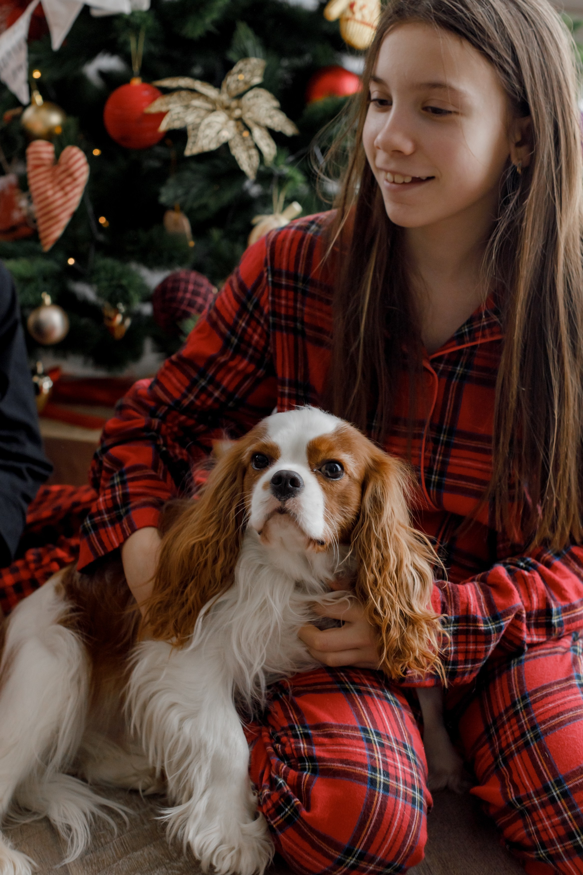 New year session. Destination wedding photographer Mary Korenchuk