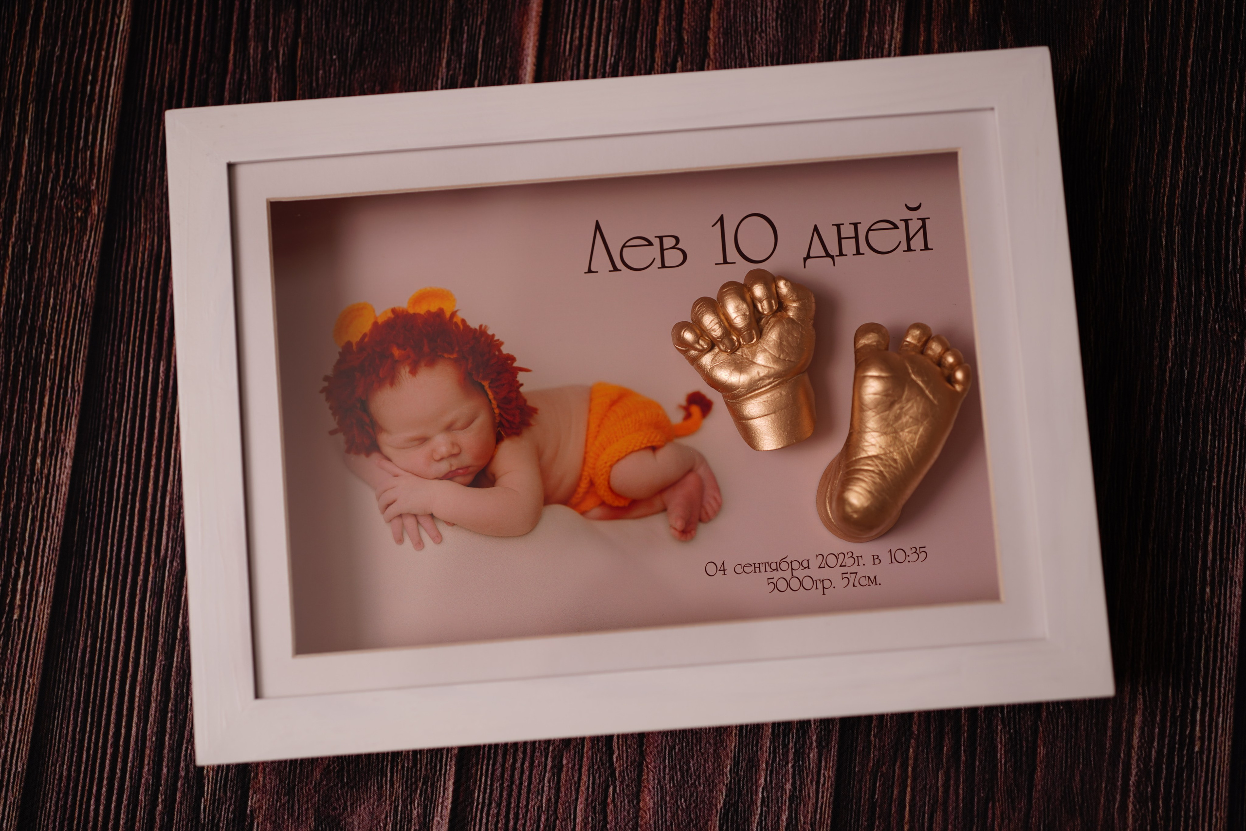 Лев 10 дней. Фотограф новорожденных в Нижнем Новгороде Сергеева Оксана