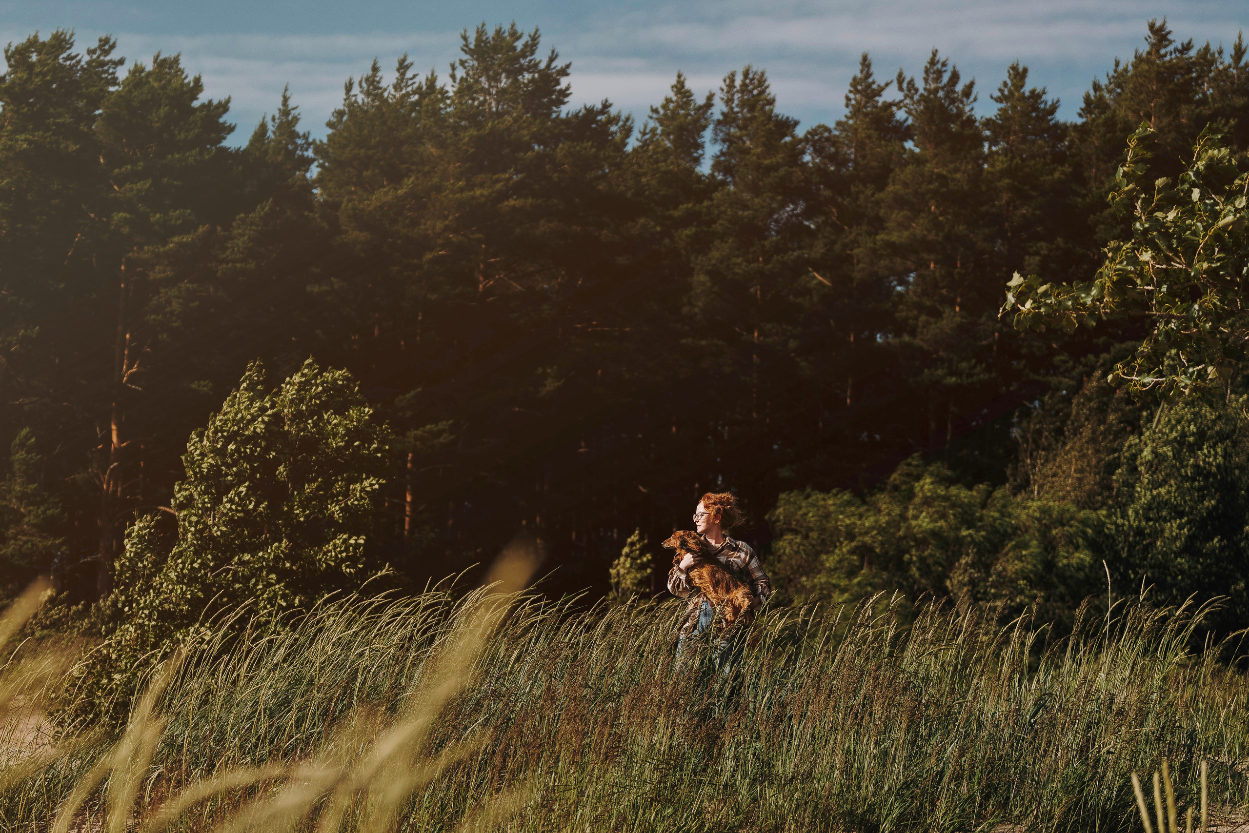 Фотосессия с длиношерстной таксой на пляжн. Фотограф анималист в Спб недорого Олеся Майорова