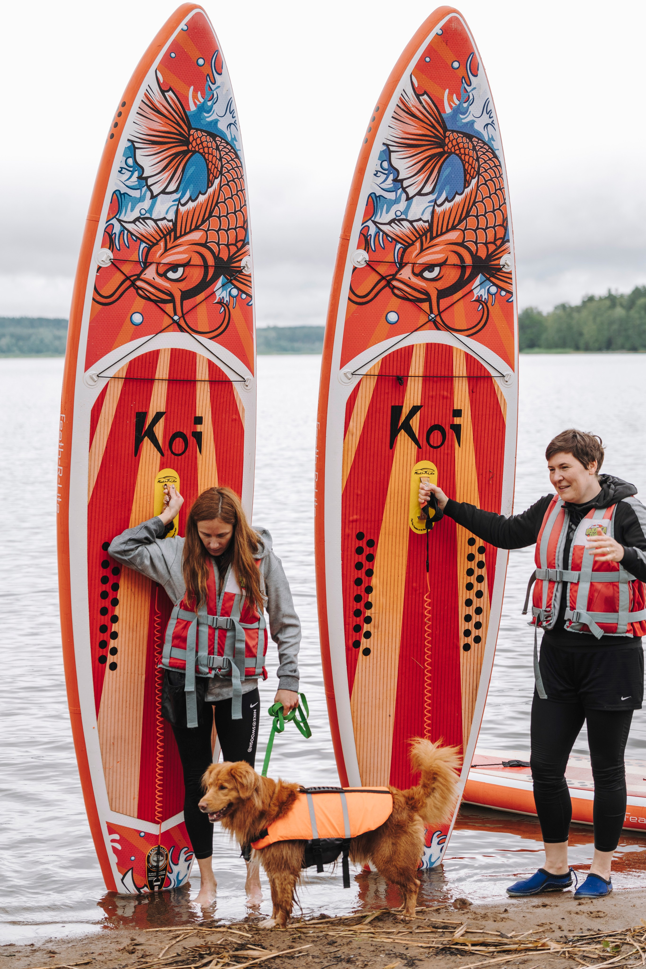 Катание на сапах с собаками. Фотограф анималист в Спб недорого Олеся Майорова
