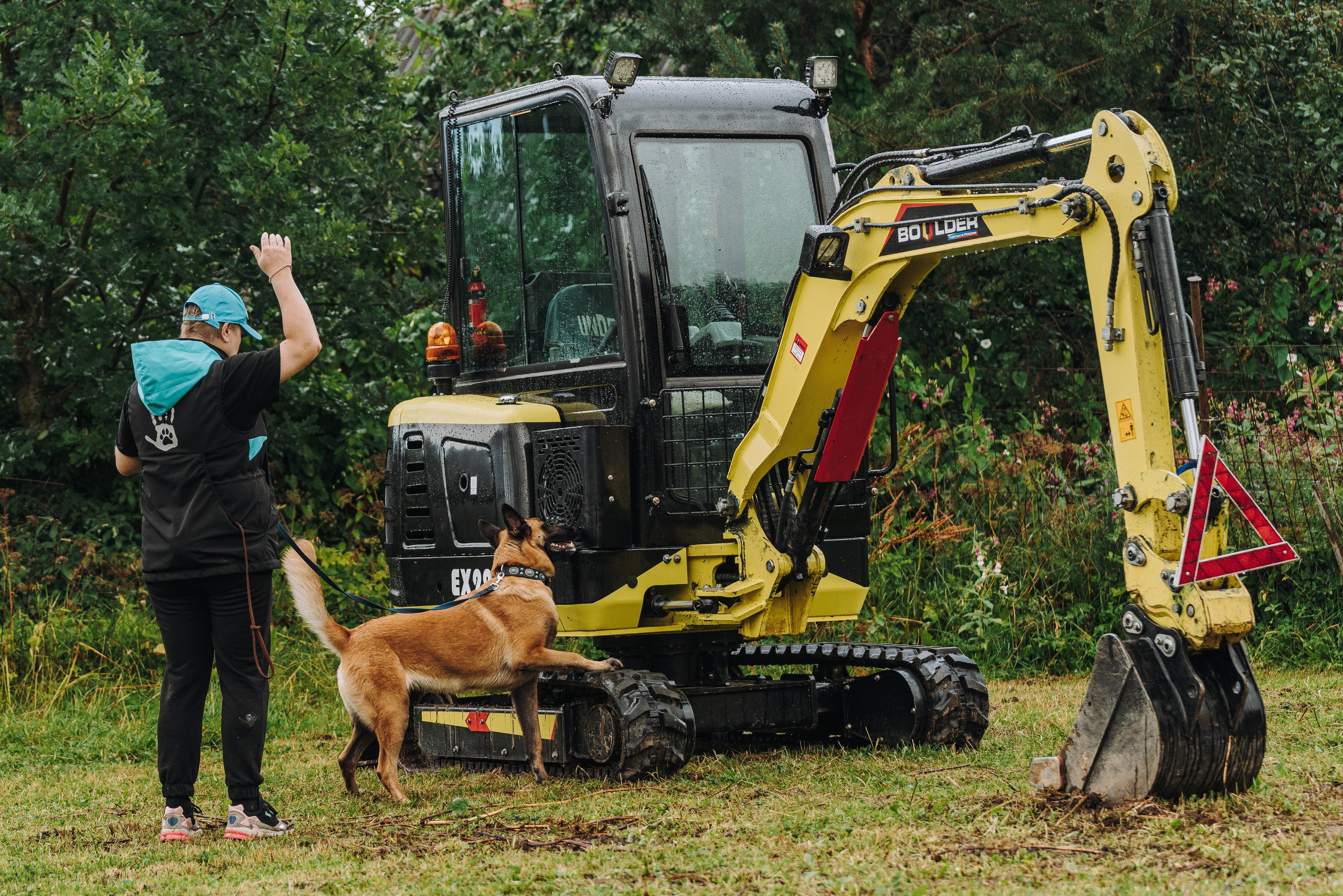 Соревнования по ноузворку в Новожилово. Фотограф анималист в Спб недорого Олеся Майорова