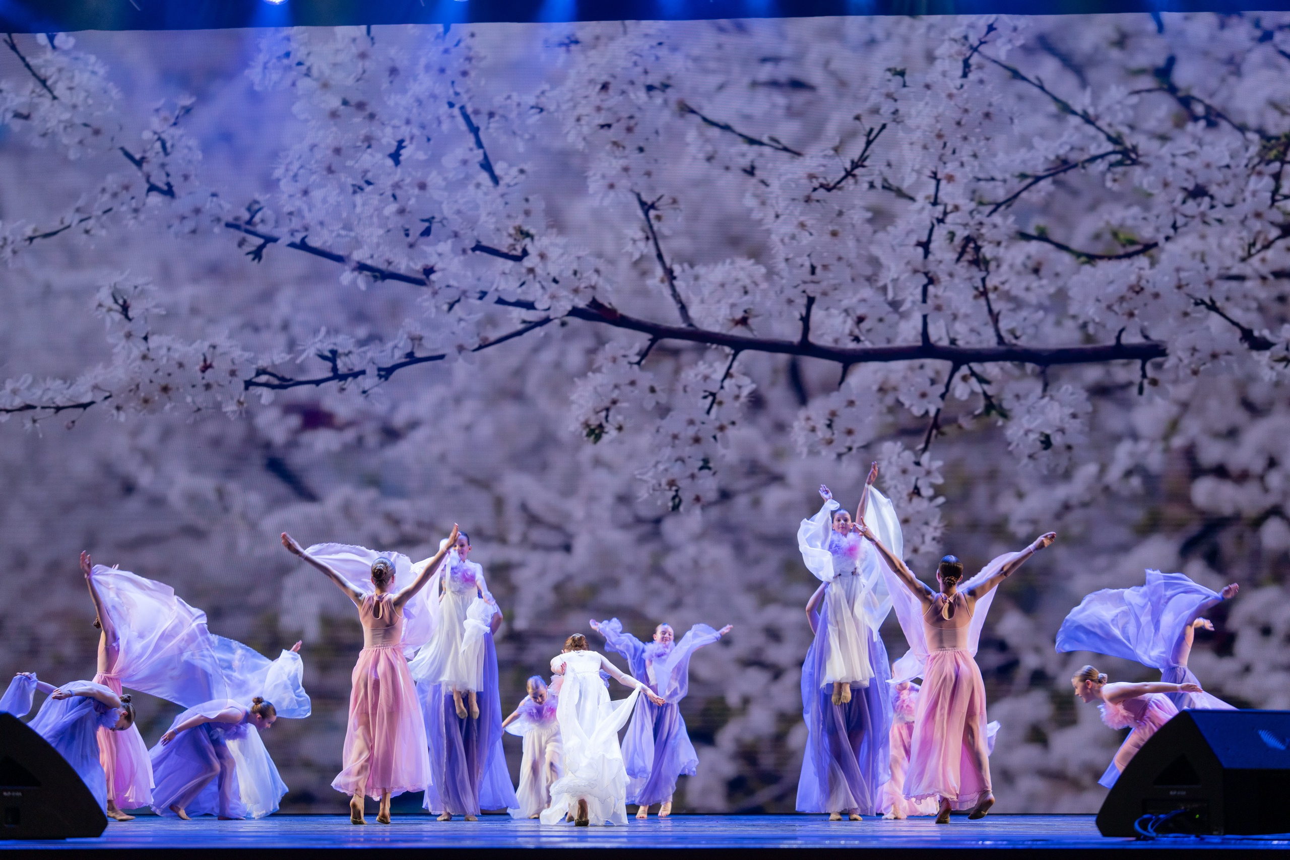 17 мая, г. Москва, Кремль, Концерт. Золотое яблочко