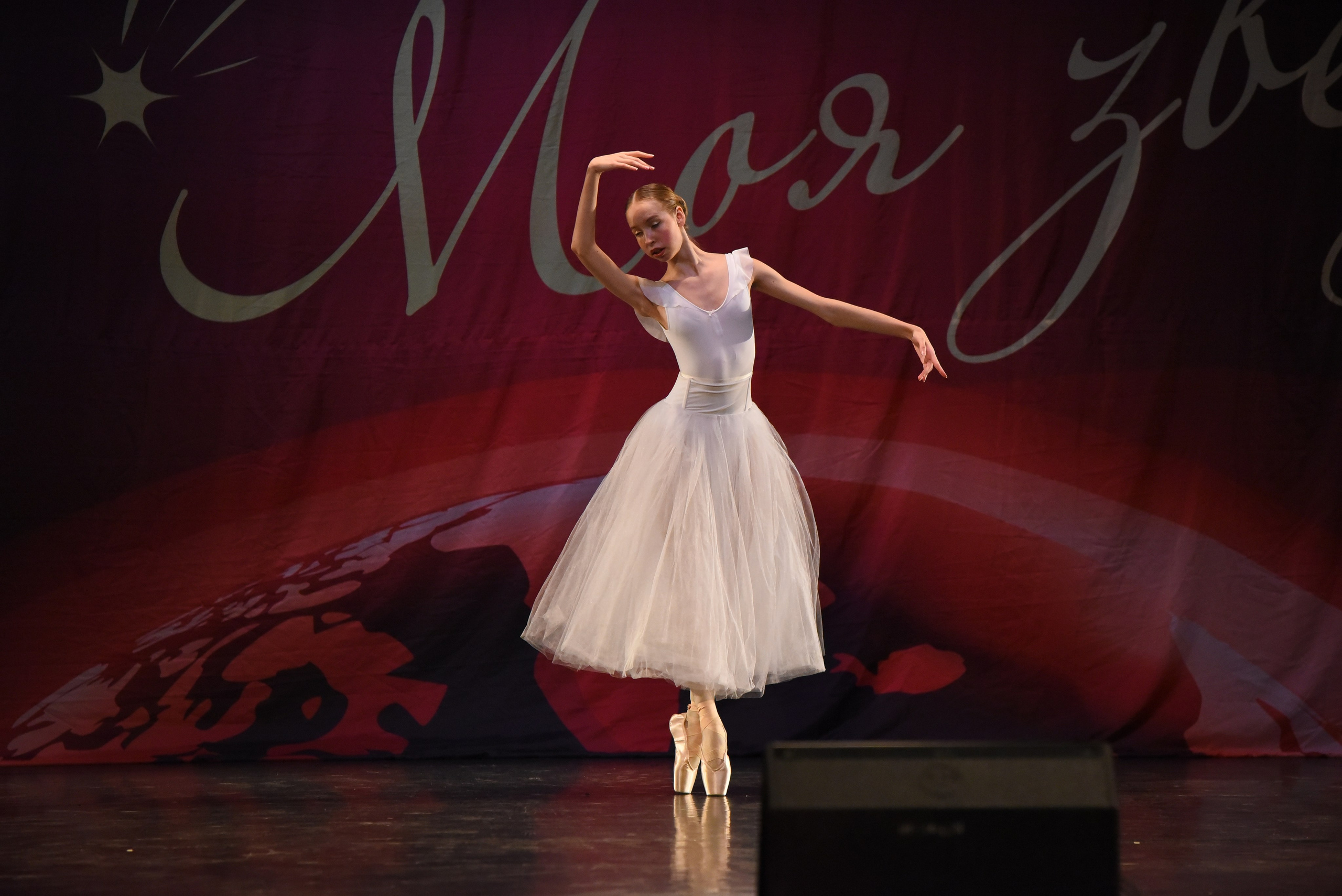 13 декабря, г. Калининград. Золотое яблочко