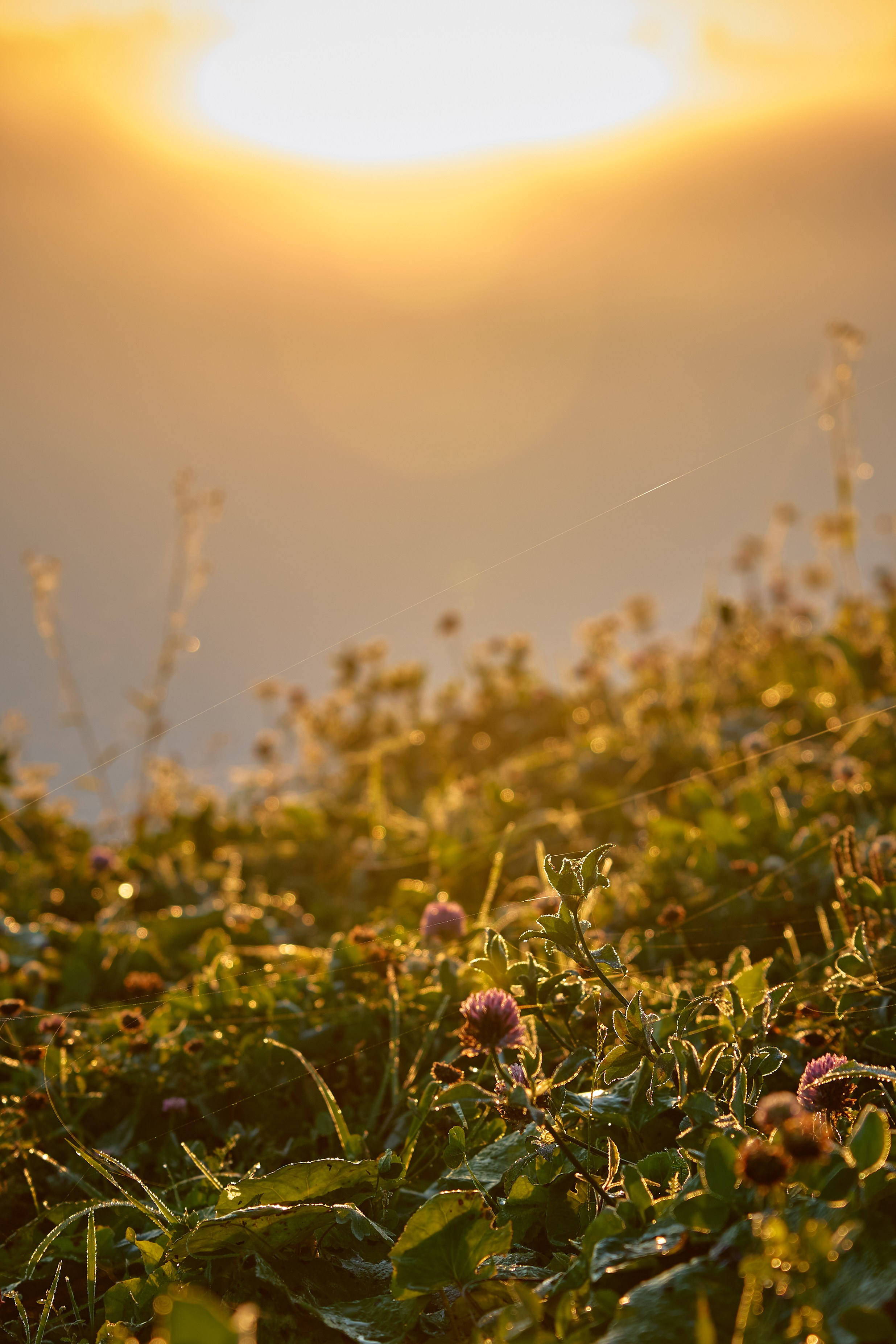 Пейзаж. Фотограф Люся Воробьева
