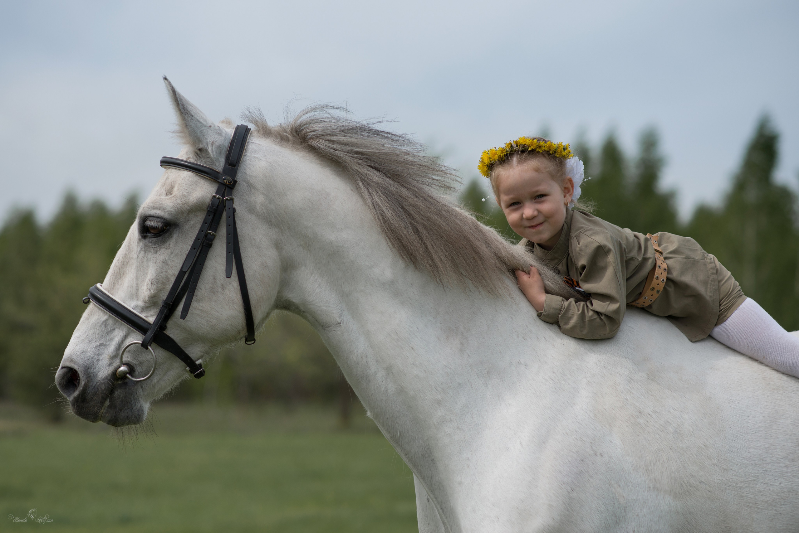 Мирослава и Гипноз. Конный фотограф в Саратове Юлия Иванова