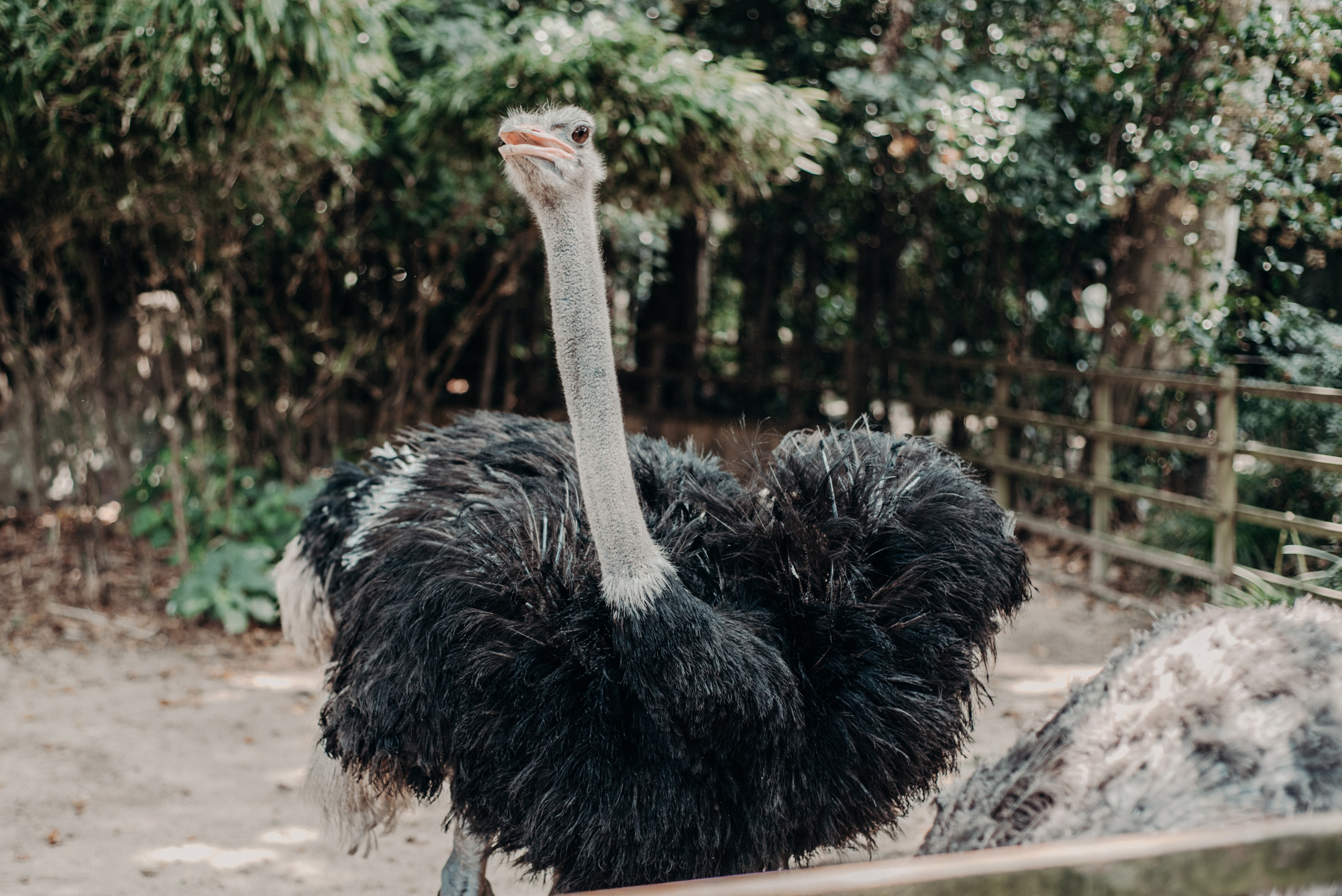 Рекламный фотограф из Гуанчжоу: вдохновение в улицах Шанхая. Коммерческий и предметный фотограф в Гуанчжоу Коваленко Александр