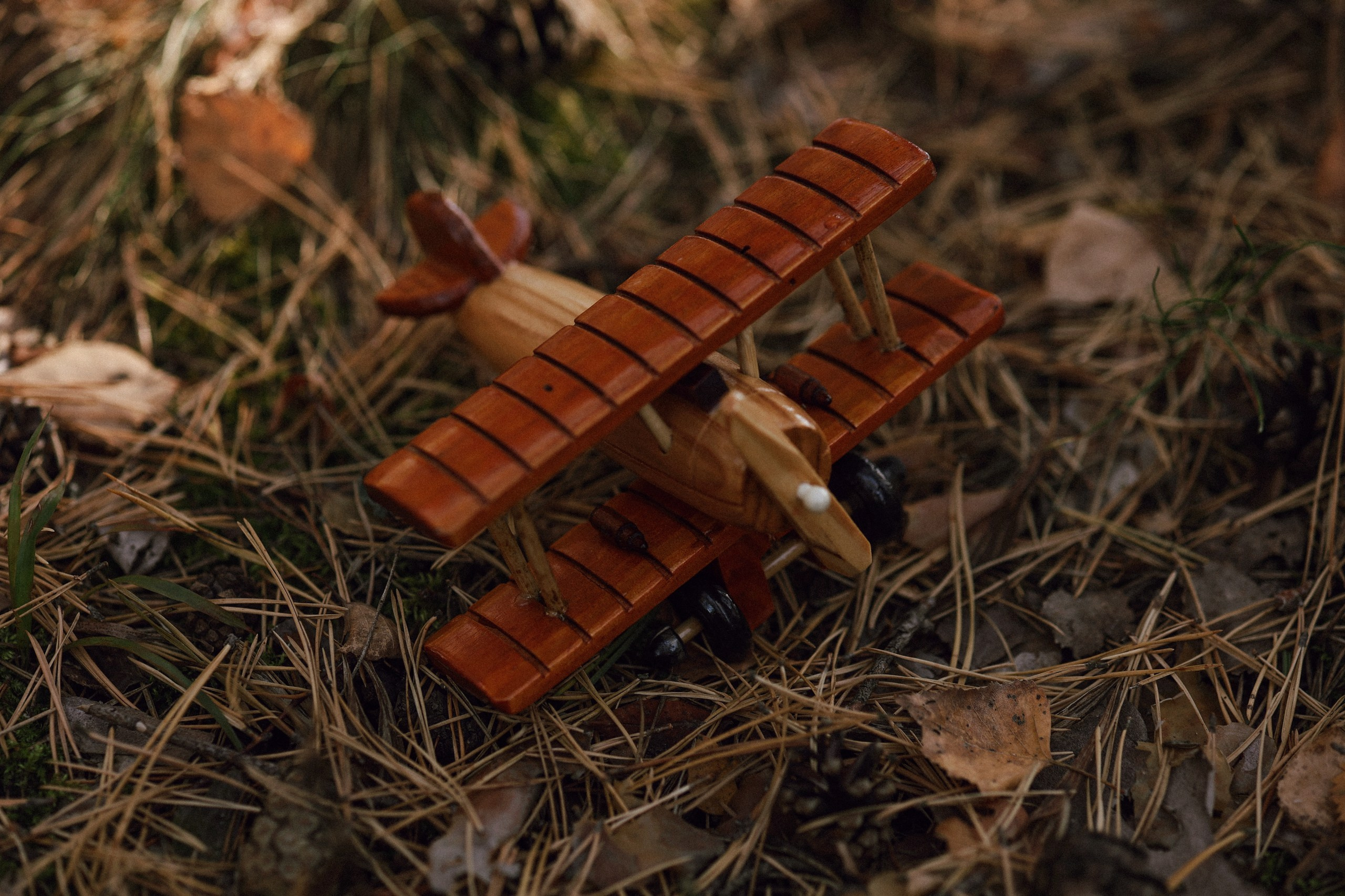 Маруся и Илюша. Настя Оленченко, портретный/семейный фотограф на цифру и плёнку Москва