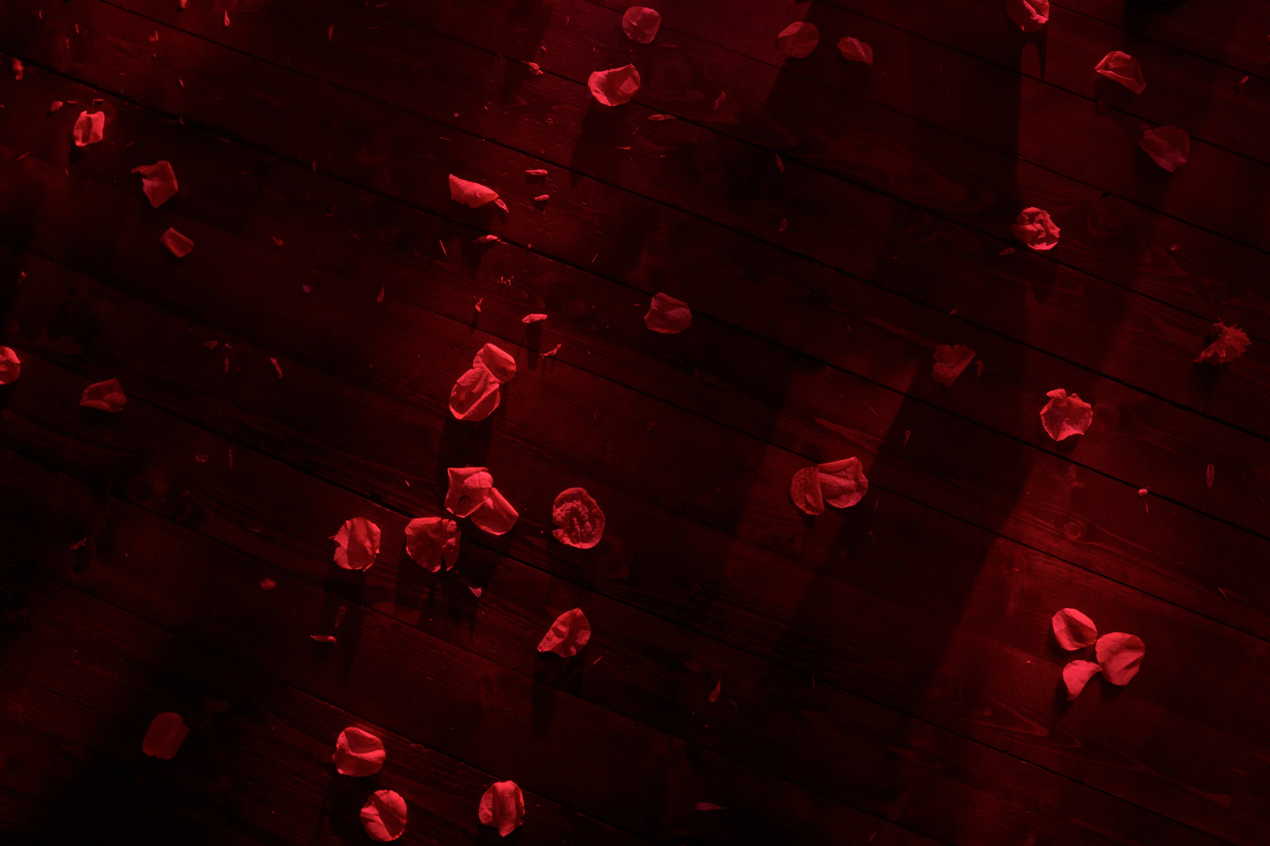 Amore more. Свадебный фотограф в Краснодаре и Сочи Винидиктова Екатерина