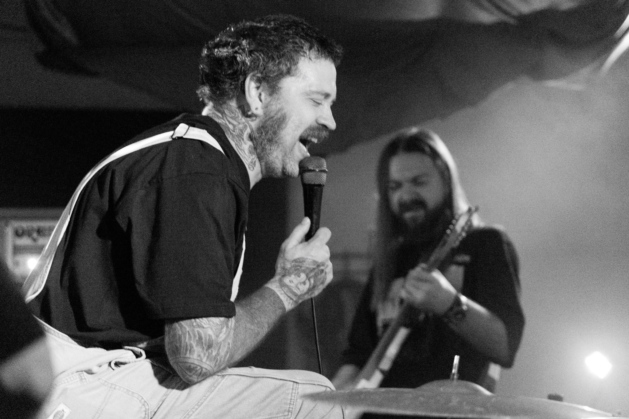 Змееед, Apodemus, 20.12.25, TAGO)))MAGO)))