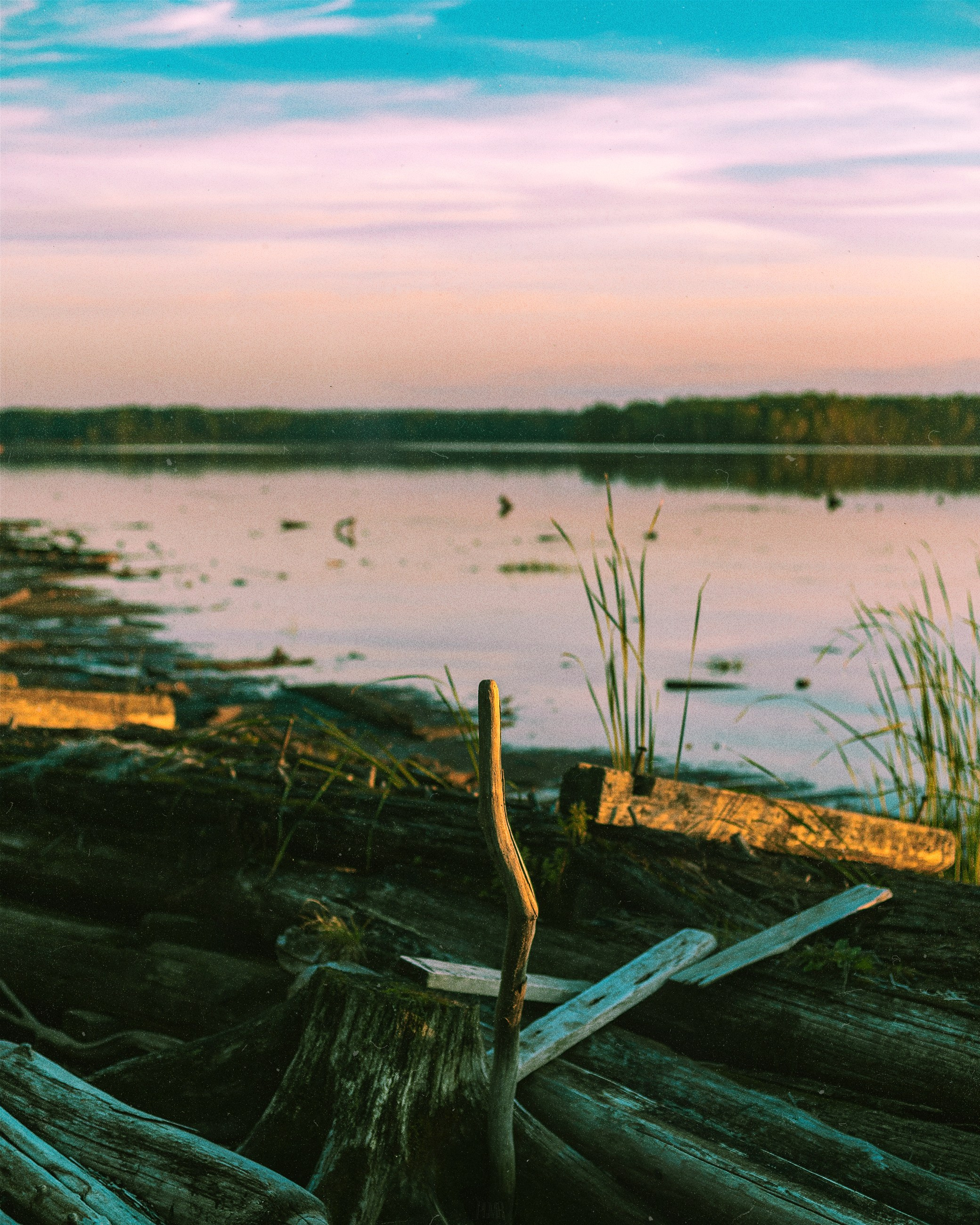 N a t u r e. Your photographer