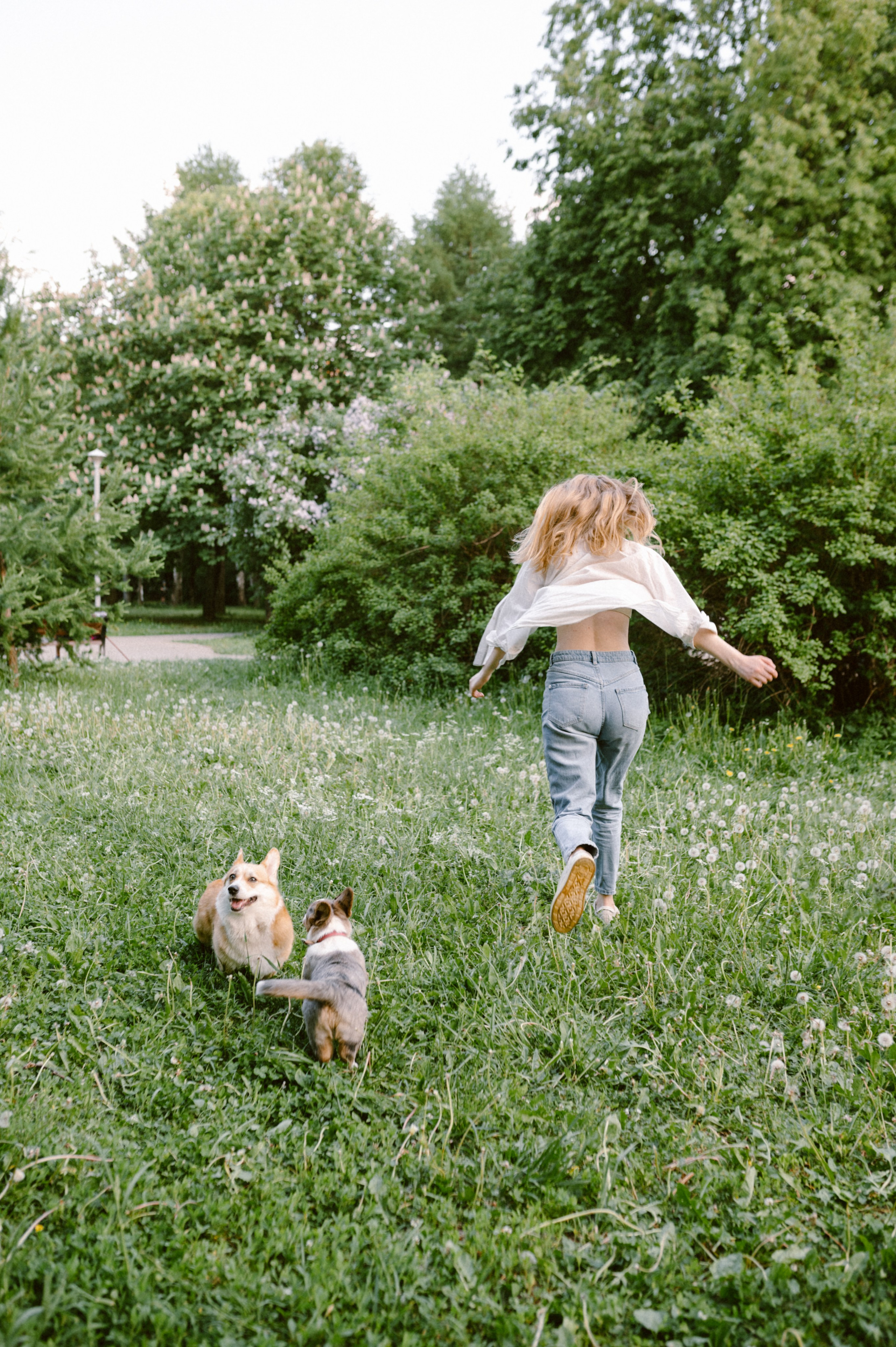 Настя и её семья. Фотограф анималист в Москве Ольга Агушева