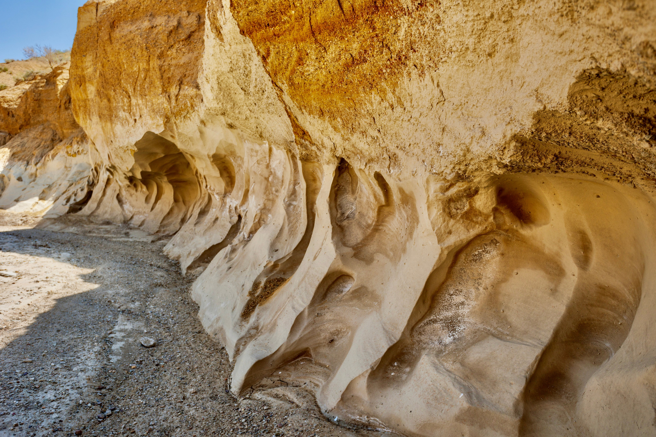 Алтын Эмель. Экскурсии и туры по Алматы
