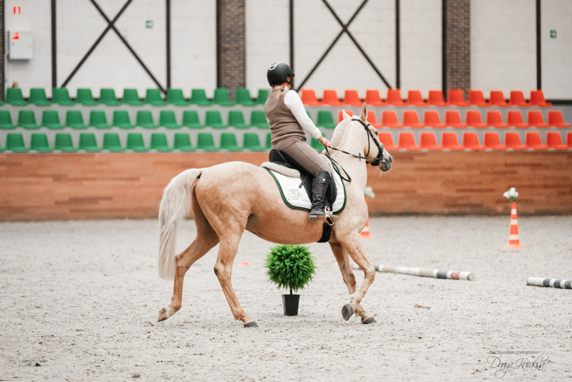 8-я международная выставка Конная Россия. Конный фотограф Куракина Дарья • Фотосессии с лошадьми