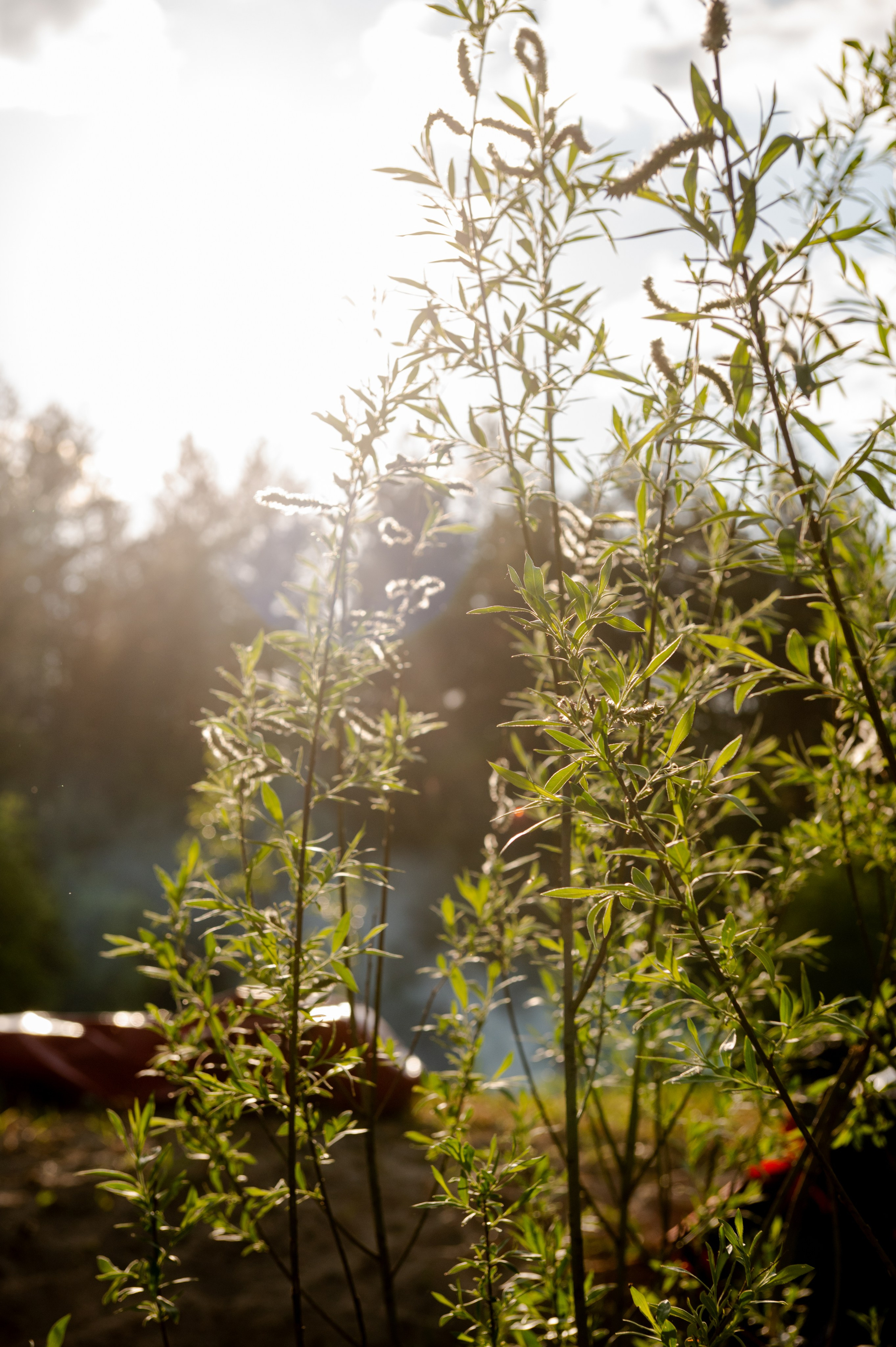 RIVER RAFTING. Свадебный и портретный фотограф в Казани