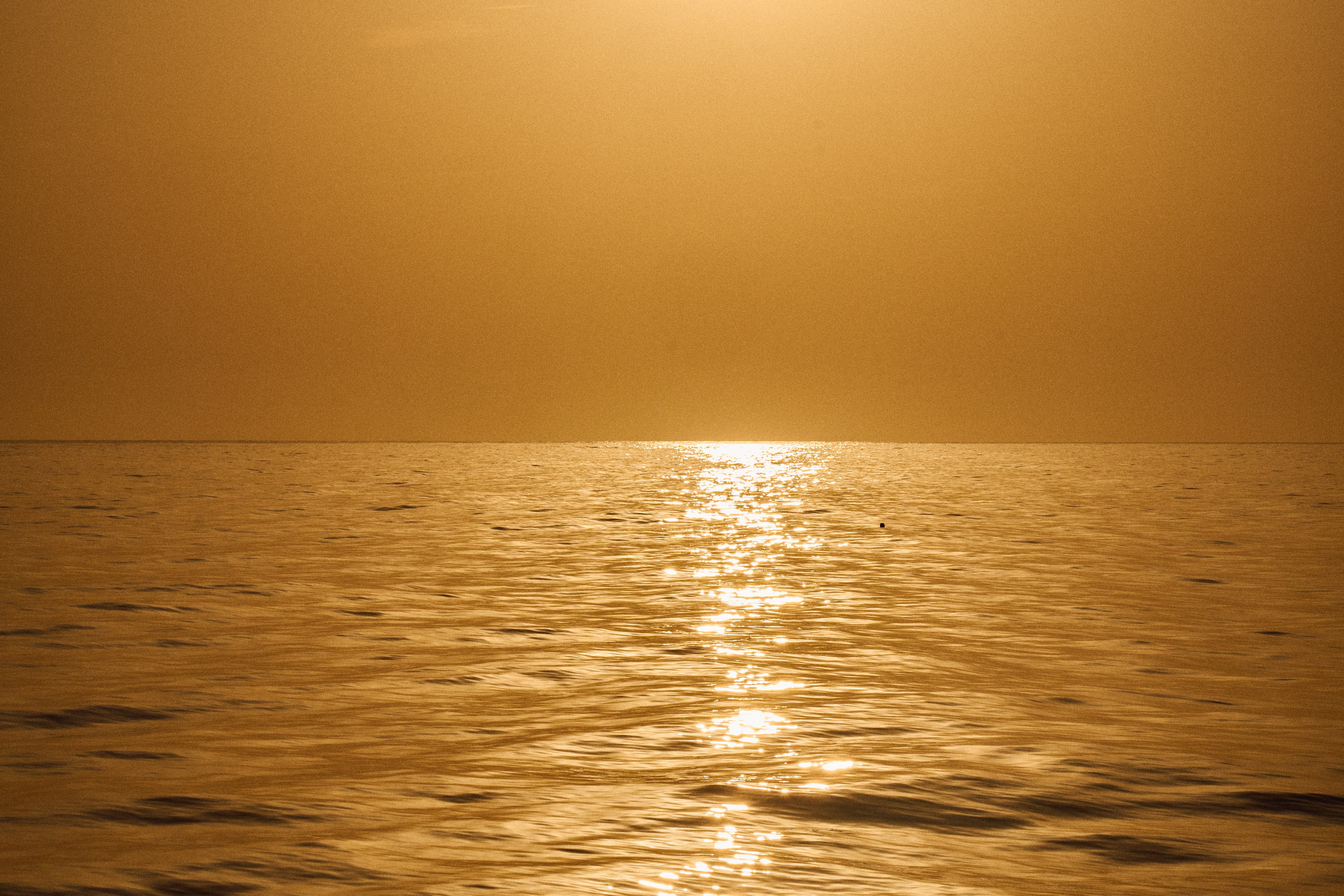 Guinea-Bissau. See the moment and catche. commercial and reportage