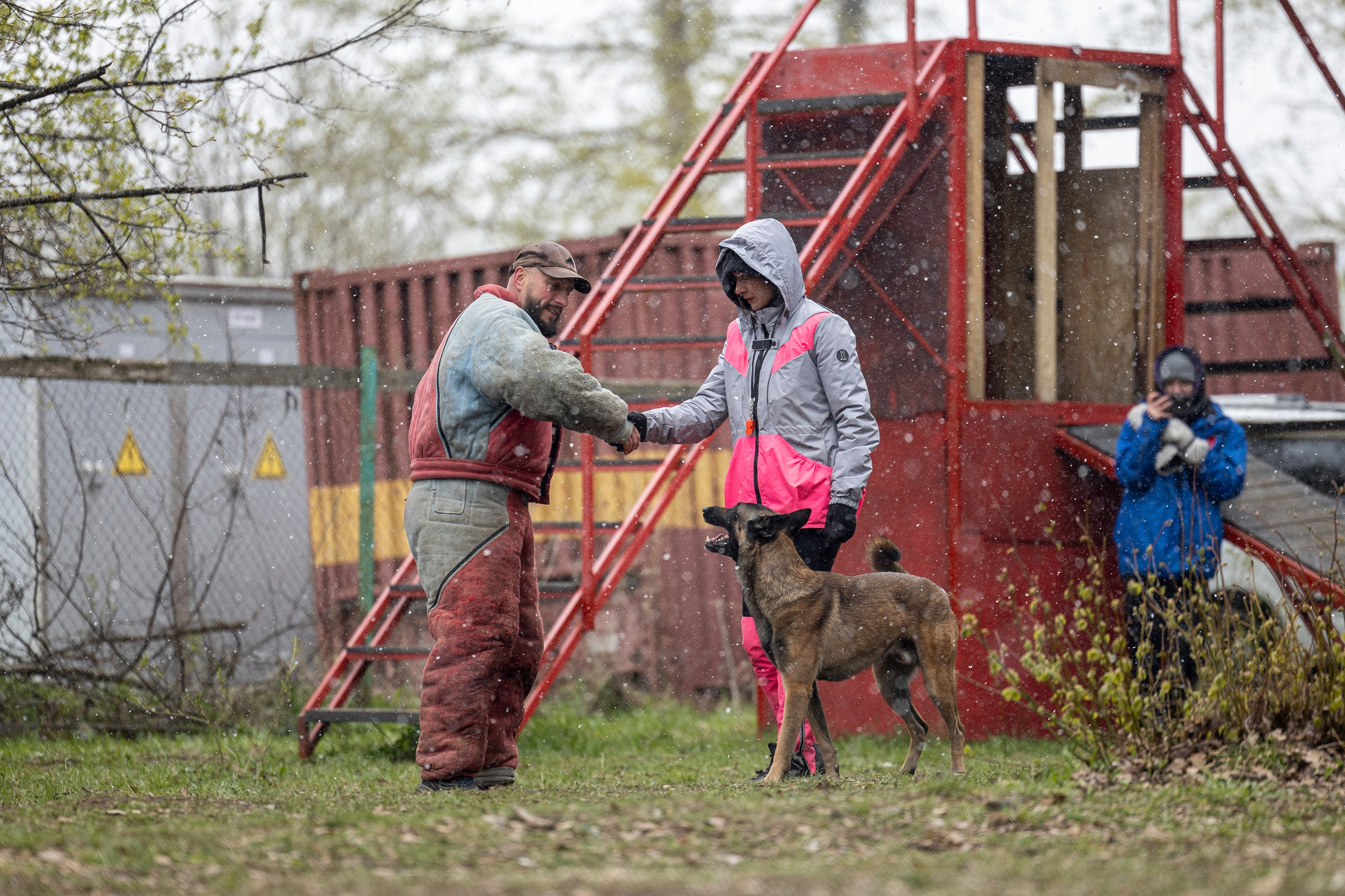 Квалификационные состязания по мондьорингу г. Вологда 11.05.24. Фотограф-анималист Анна Маринич
