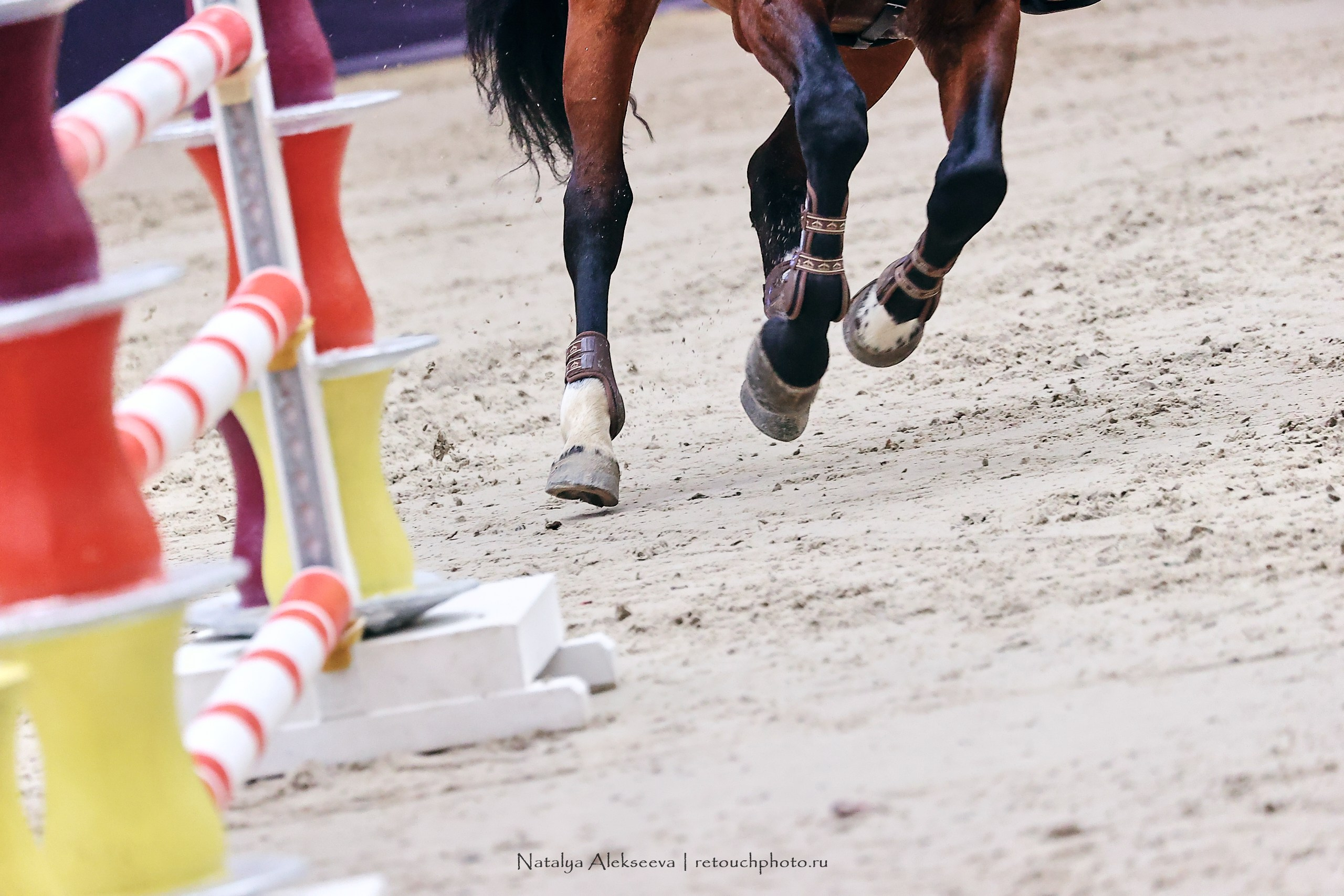 Кубок Президента ОАЭ по конкуру, Maxima Stables | 11'2023. Репортажный фотограф и ретушер в Москве Наталья Алексеева