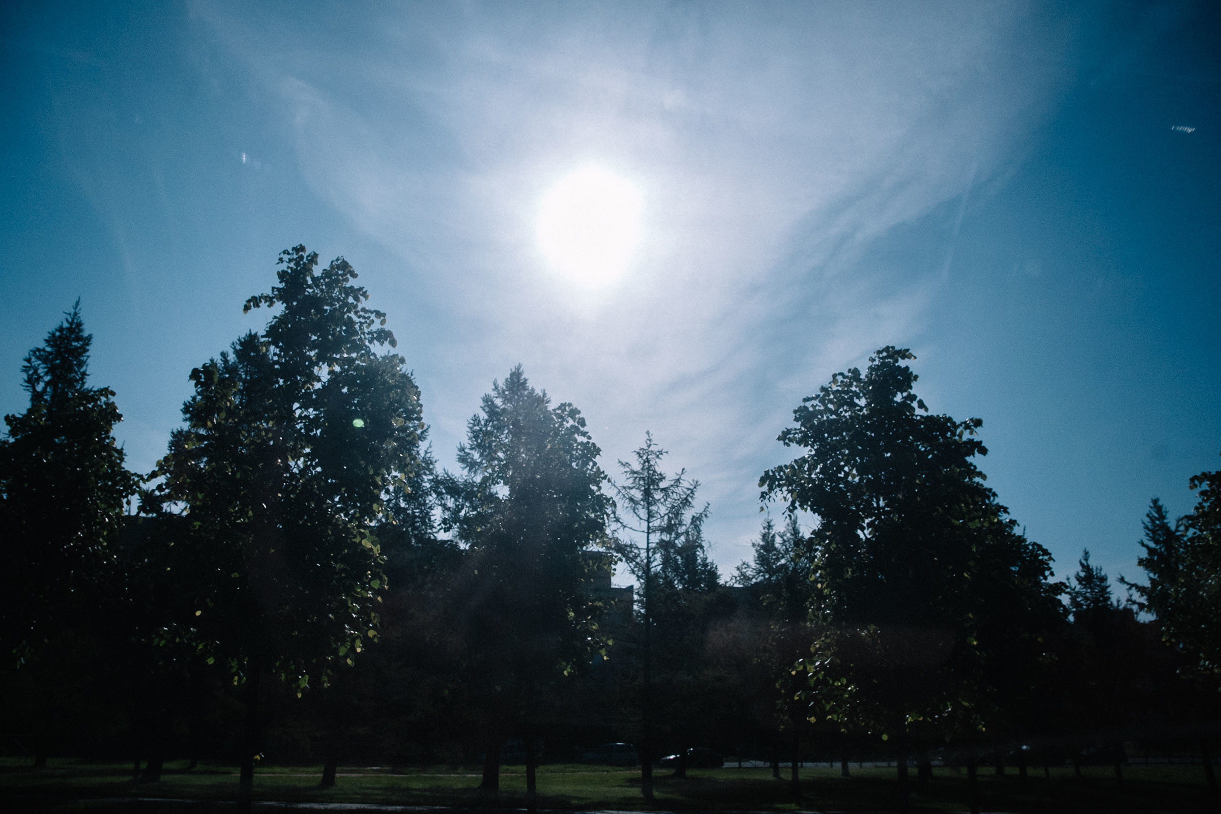 Катя + Саша. Семейный и свадебный фотограф в Майкопе Михаил Мартиросян