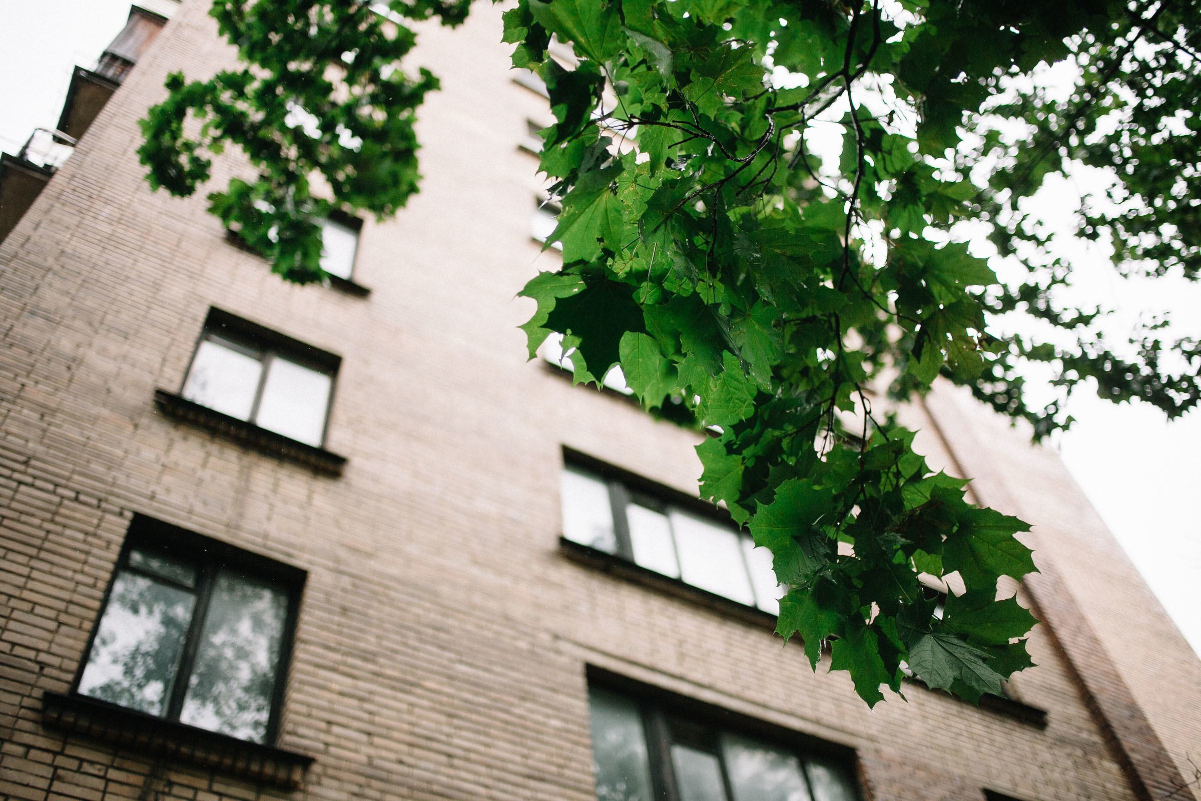 Я + К. Семейный и свадебный фотограф в Майкопе Михаил Мартиросян
