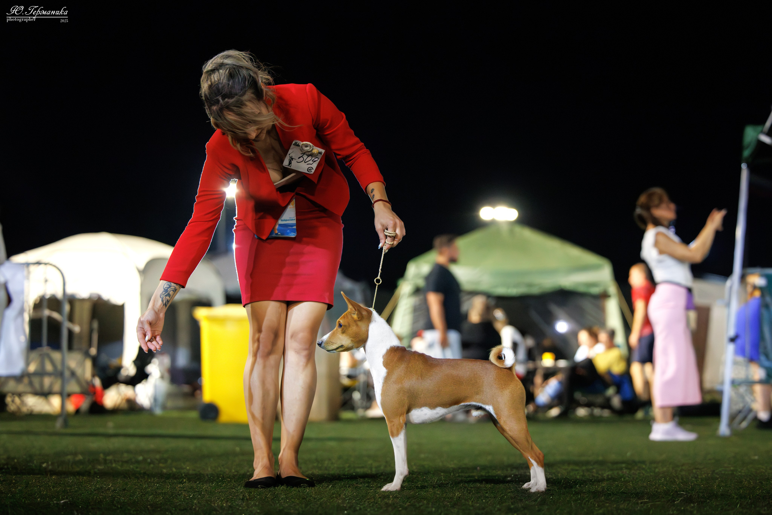 Калининград 25-27.07 Волгоград 1-3.08 2025. Фотограф-анималист Юлия Германика