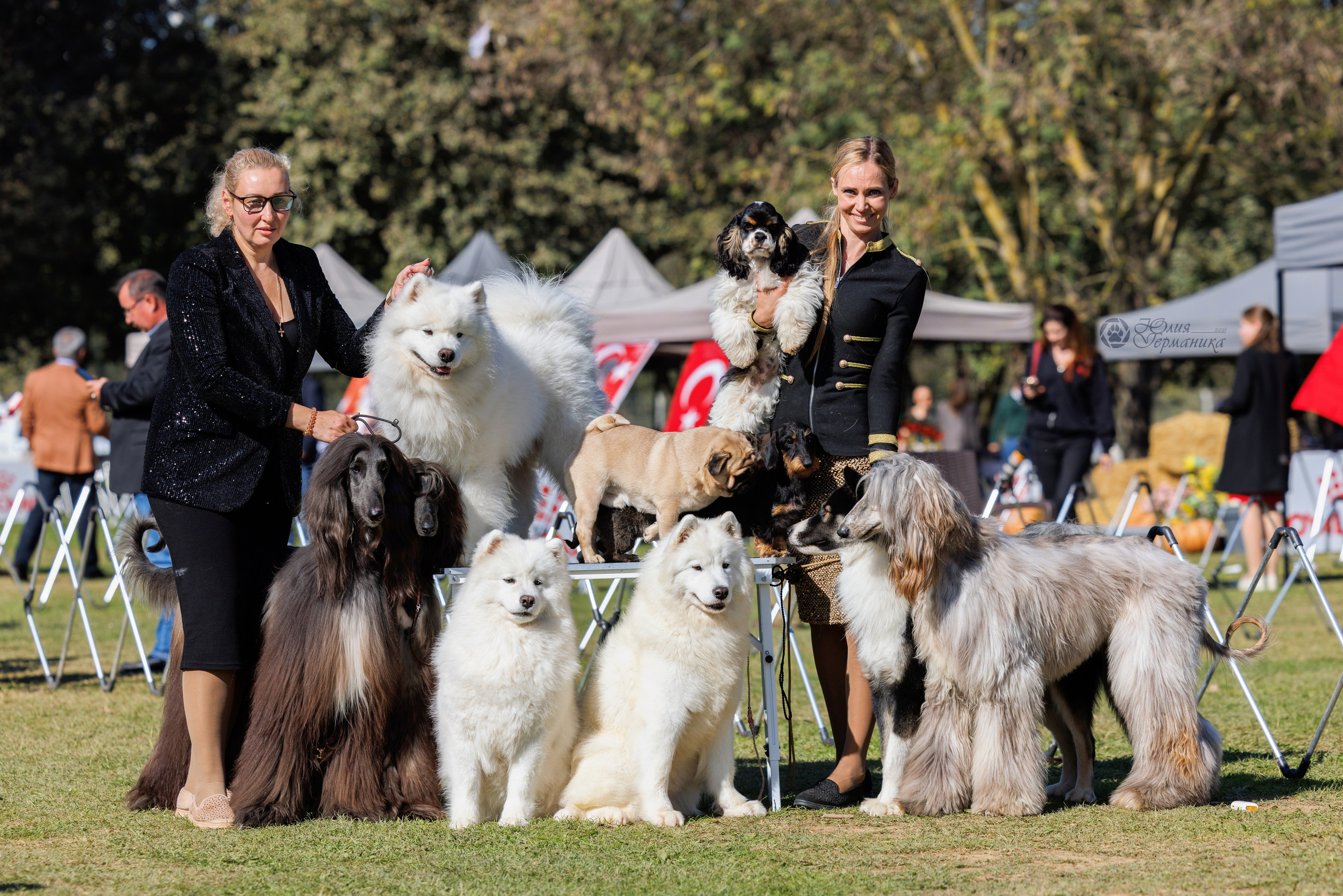 Туция,Стамбул 2хCACIB 26-27.10.24. Фотограф-анималист Юлия Германика