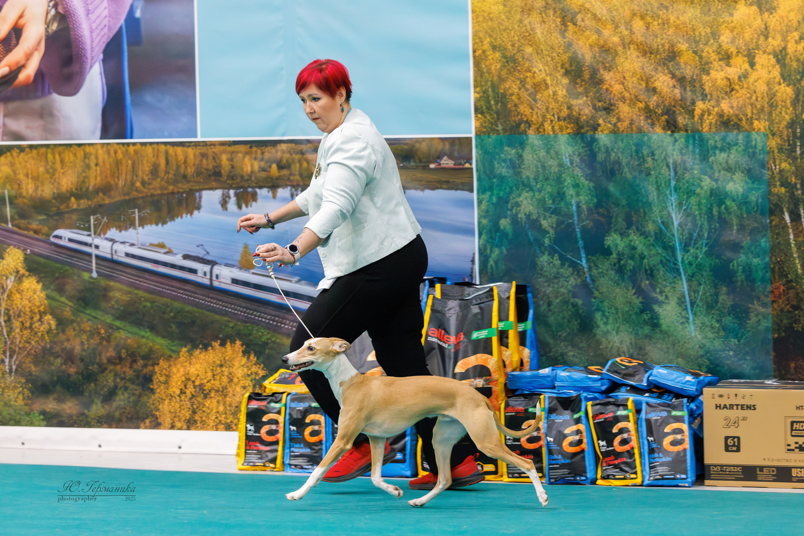 Гран-При 8.02.2025 и Крокус 09.02.2025. Фотограф-анималист Юлия Германика