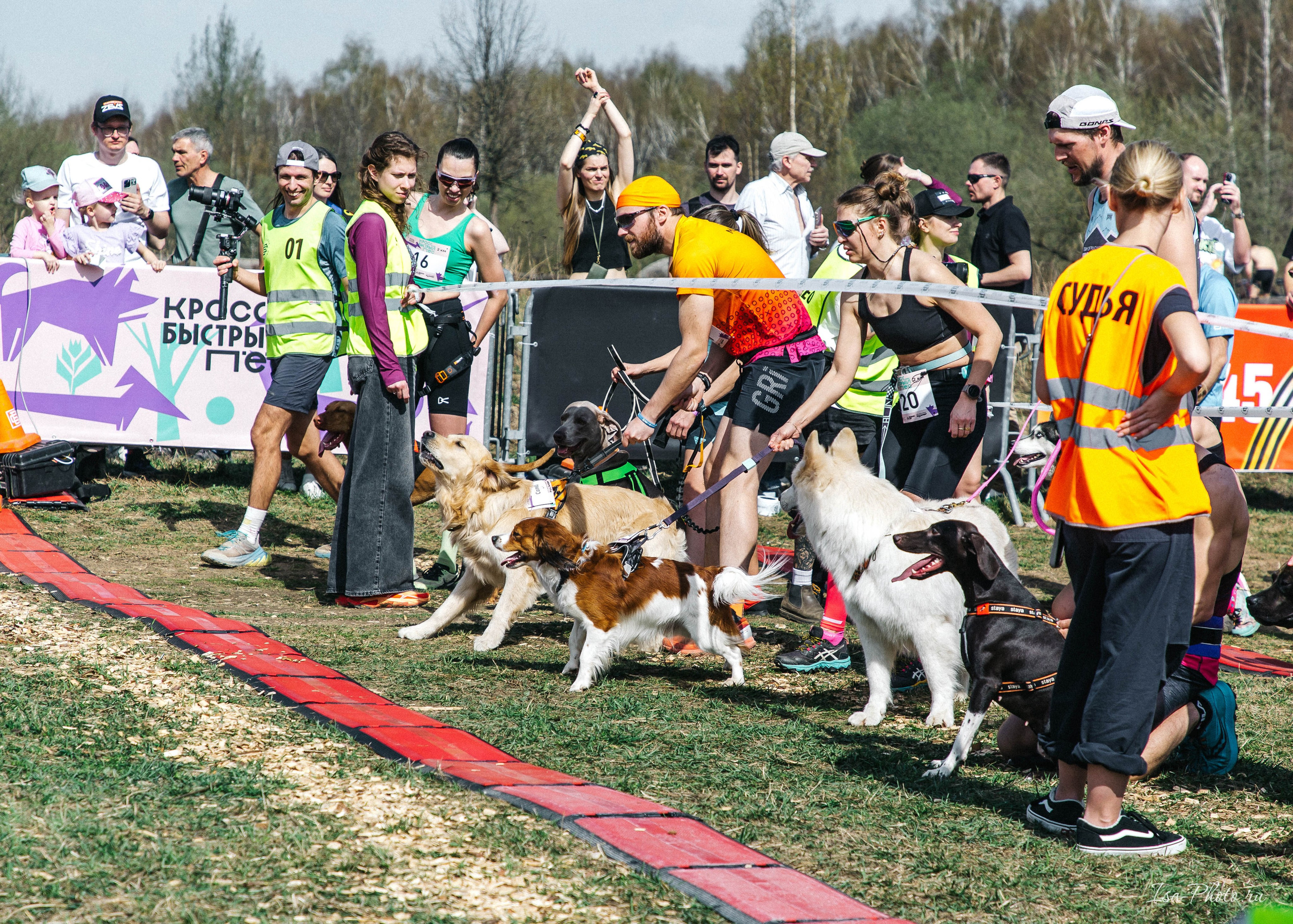 Кросс «Быстрый пёс» 2025. Репортажный фотограф в Москве