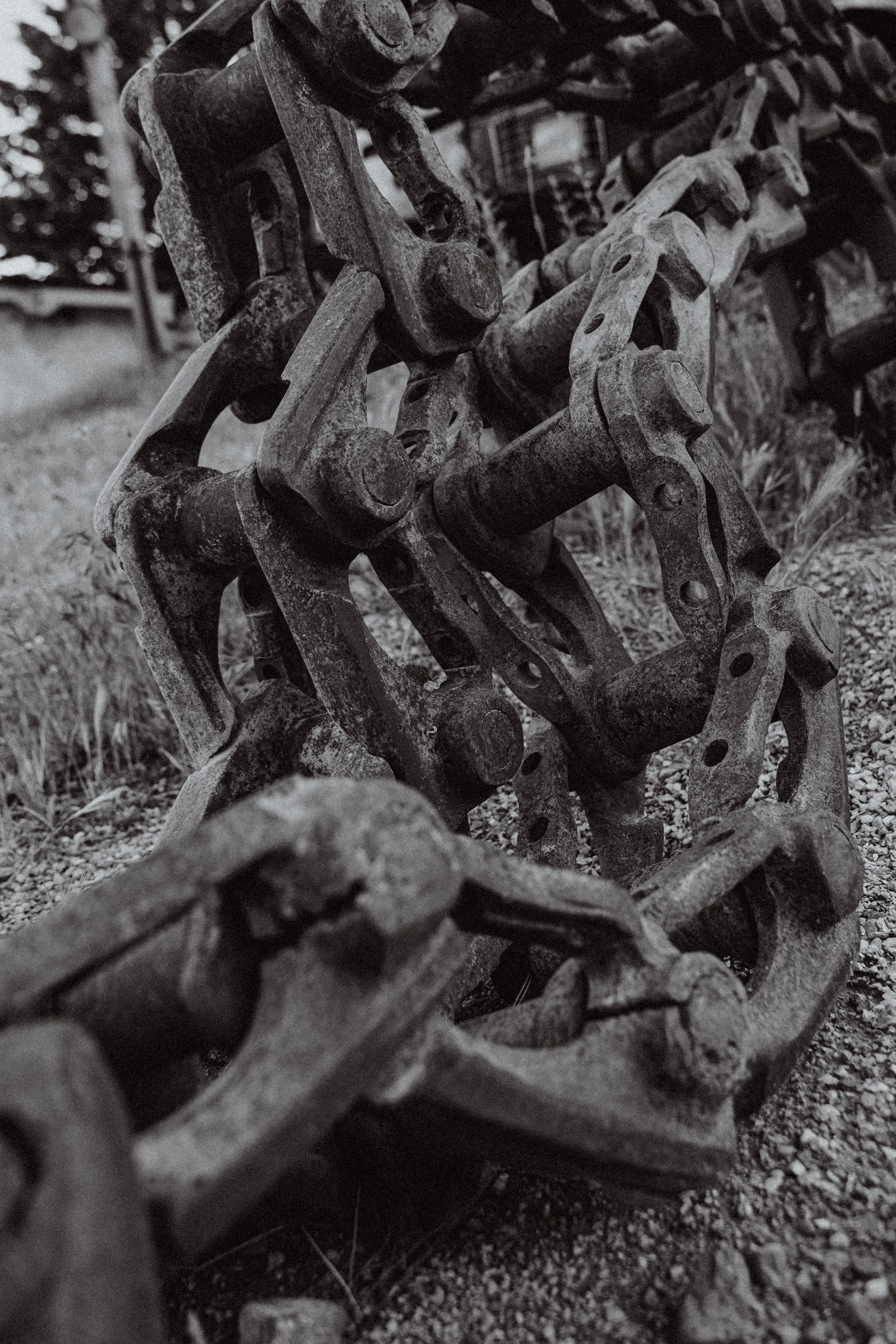 Евгений. Мария Кобзева, фотограф в Ялте, Крым