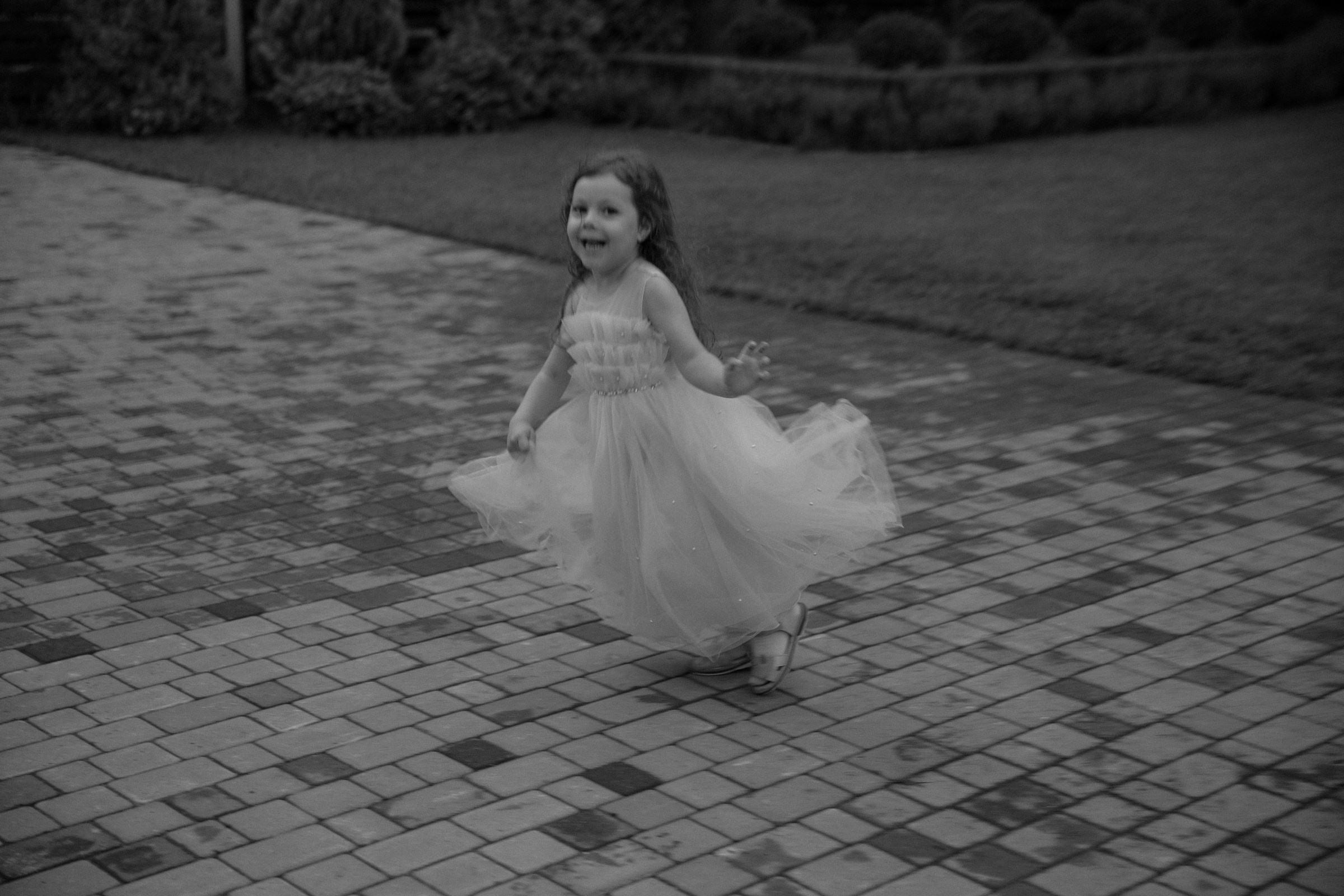 Свадьба пес и котики. Dima Lemeshevsky