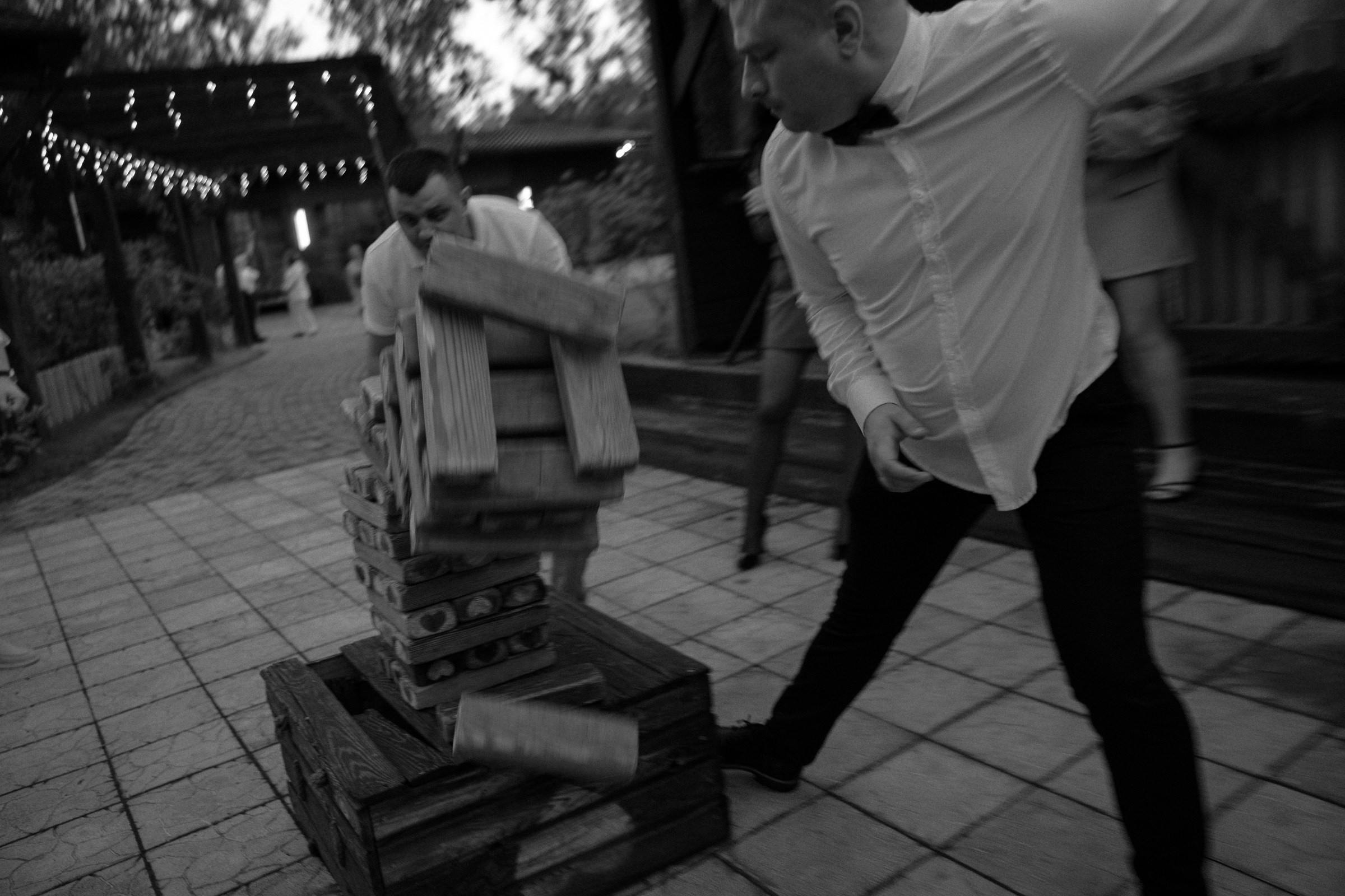 Свадьба пес и котики. Dima Lemeshevsky