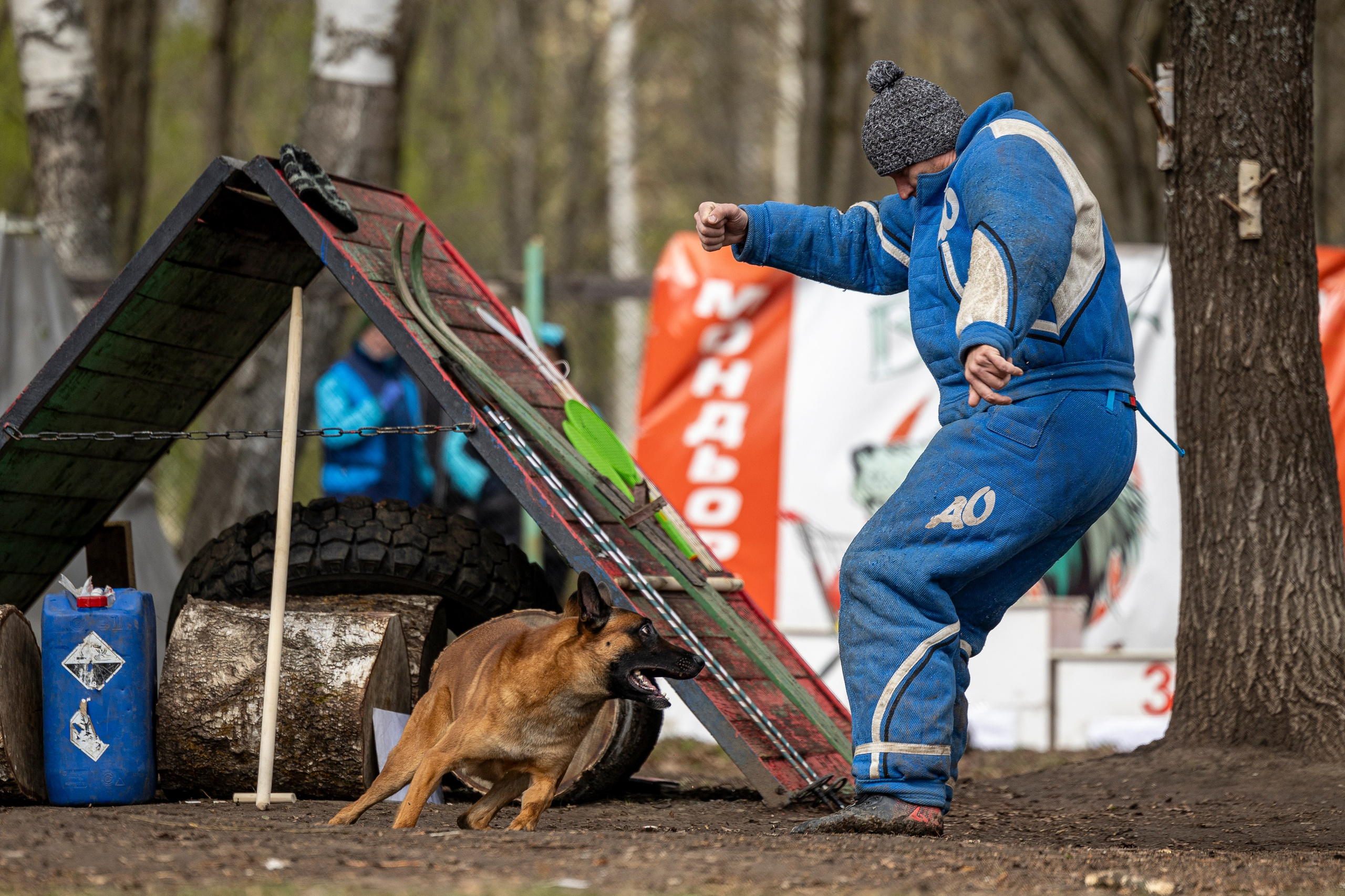Квалификационные состязания по мондьорингу г. Вологда 11.05.24. Фотограф-анималист Анна Маринич