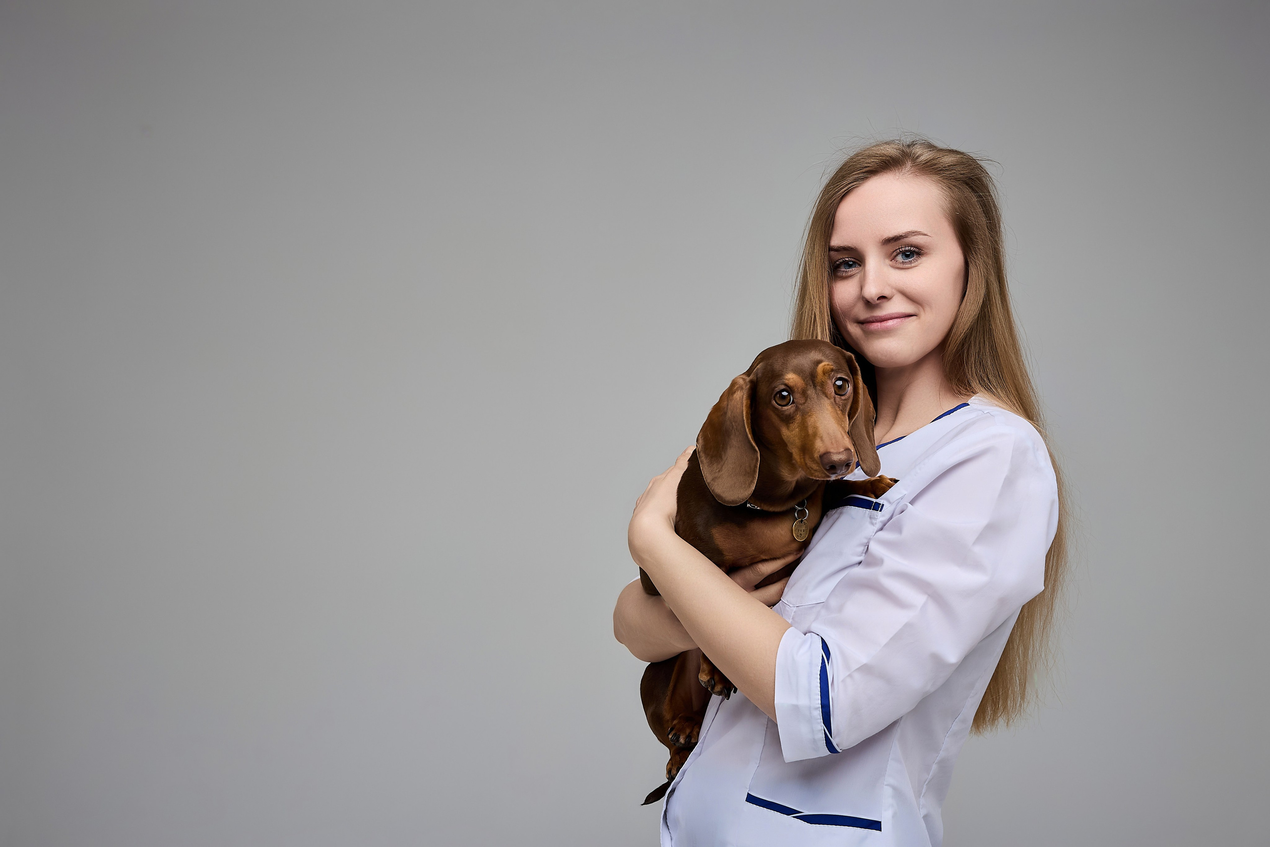 Контент для ветеринарного лендинга правительства Москвы. Фотограф и Видеограф в Москве. Олег Корушев