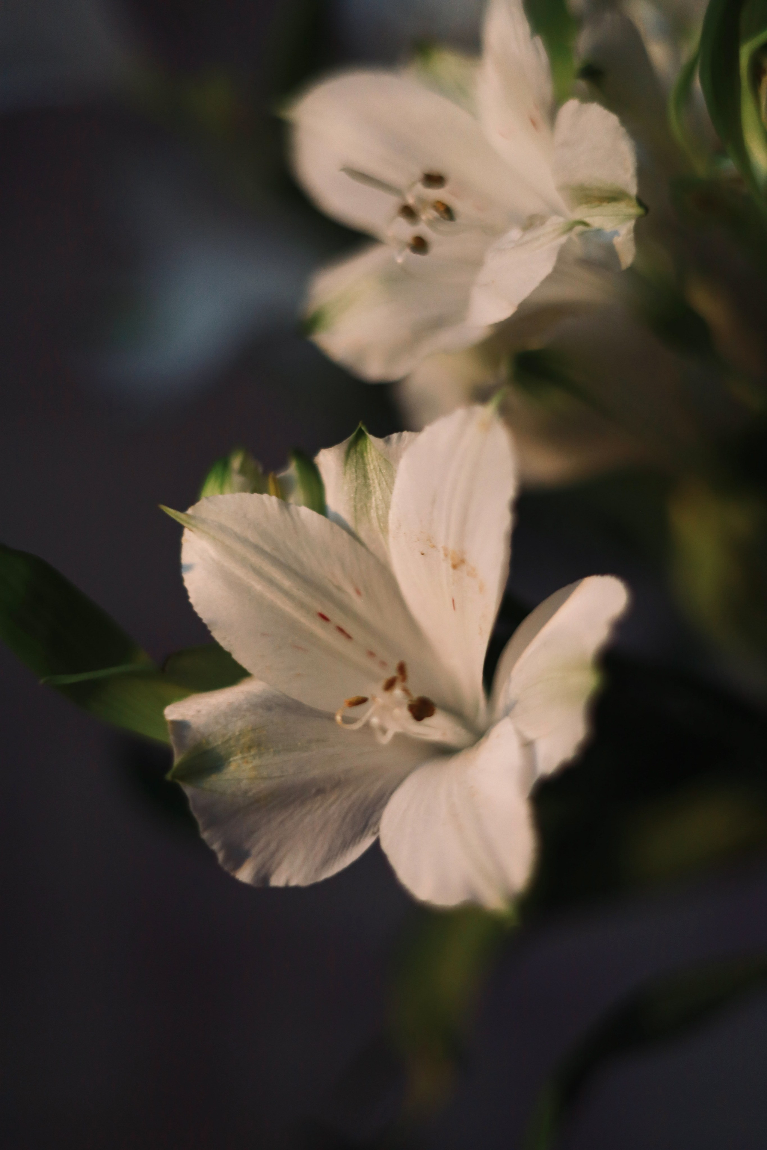 Все, что вокруг меня. Фотограф Евгения Ошкина, Саранск