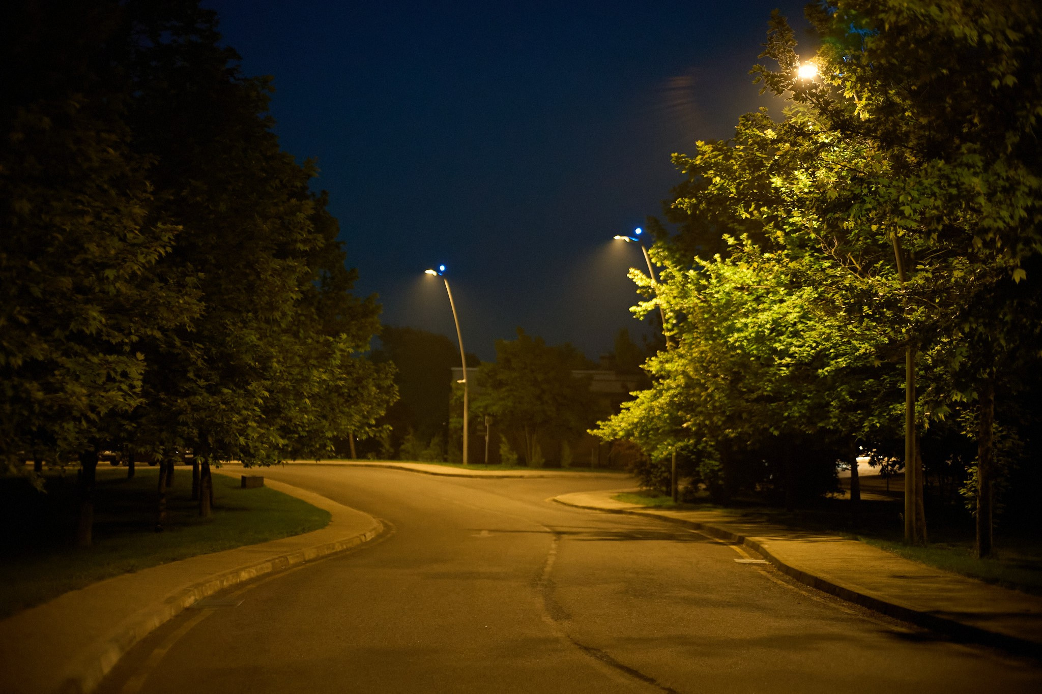 Баку, май 2025. Фотограф, Римма Невинская