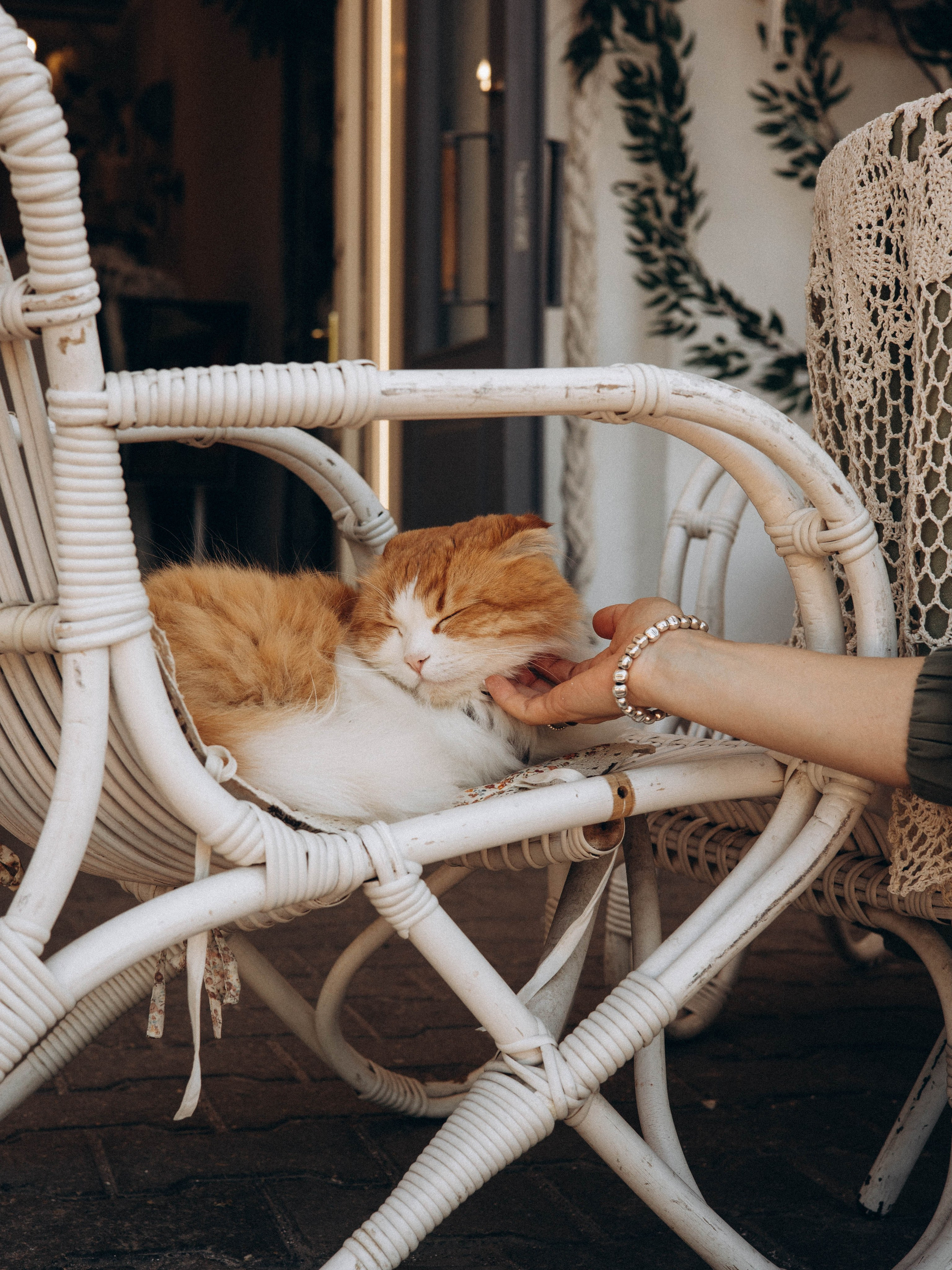 Лето. Кострома. Фотограф Кострома | Калининград