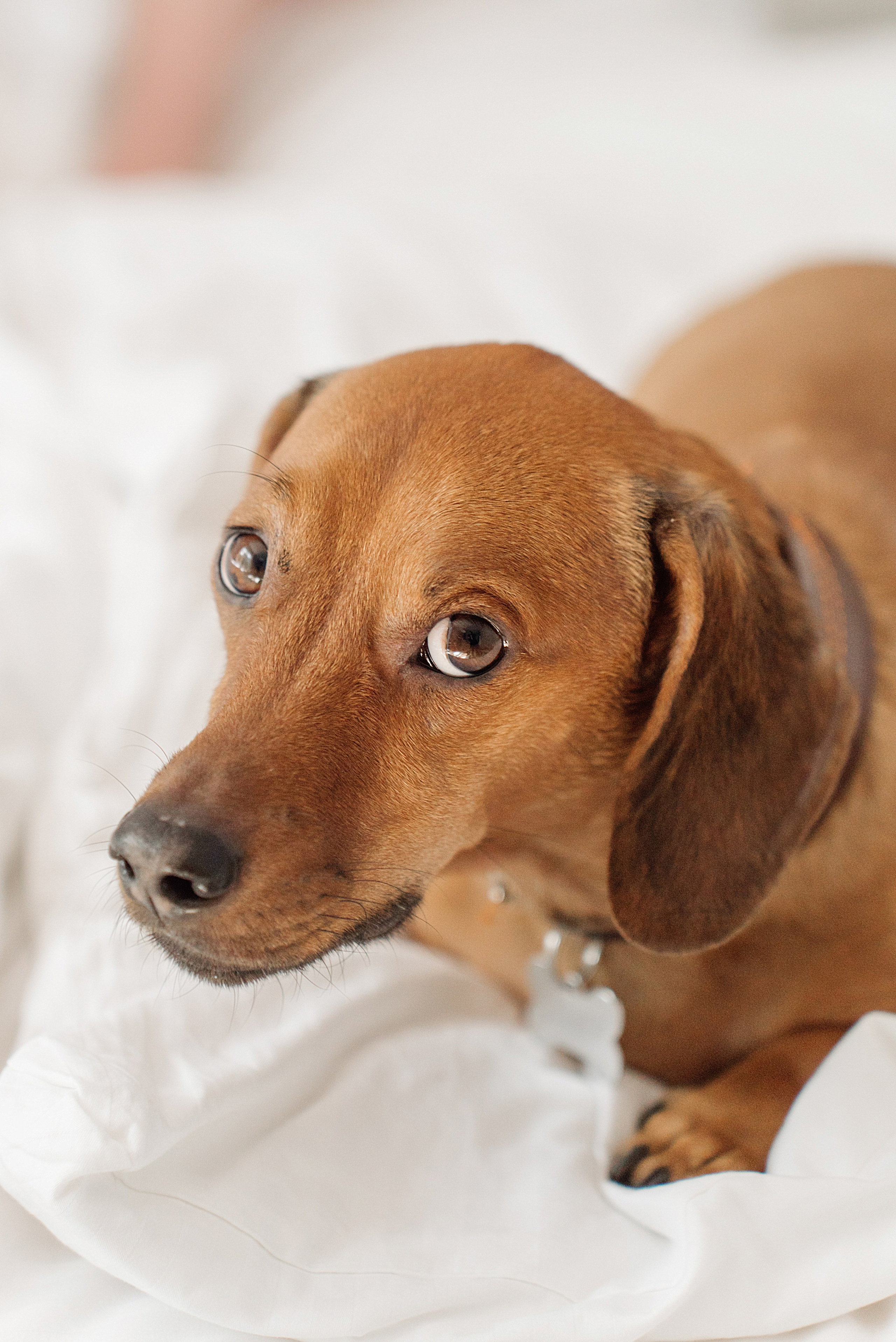 Клкллкаккк. Свадебный фотограф