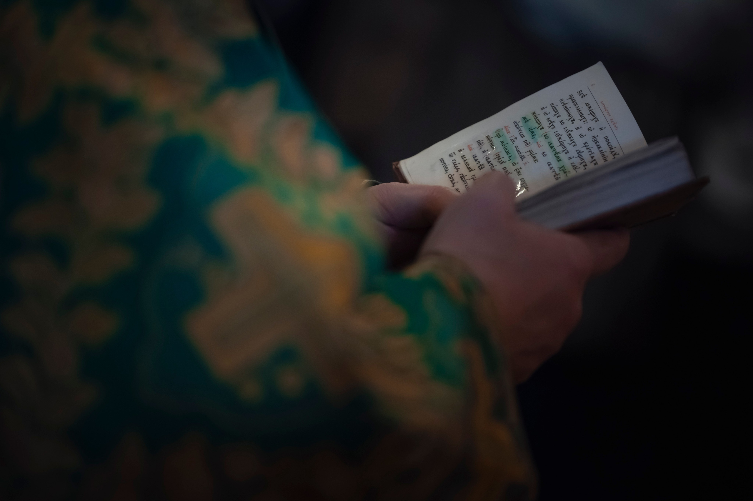 Богородский Храм. Всенощное бдение. Освящение верб. Антон и Татьяна Денисенко — В храме