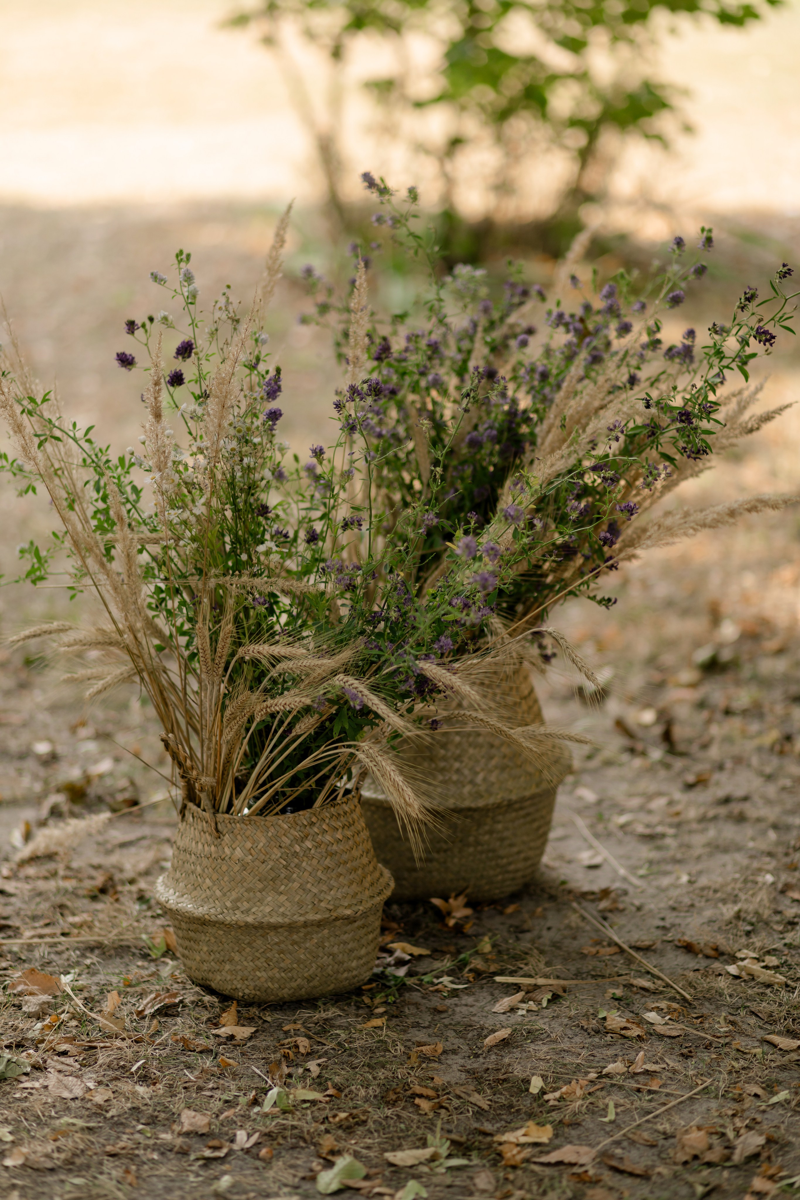 Виноградники. Dima Lemeshevsky