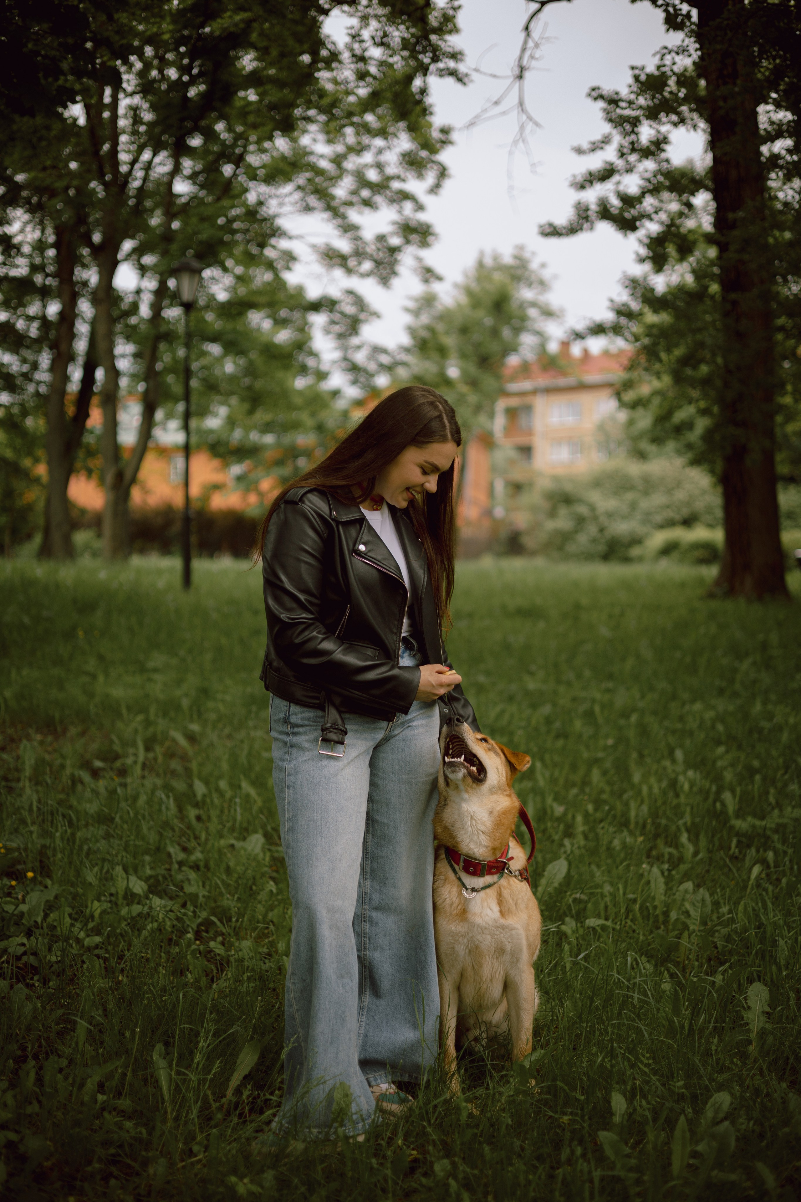 Света и Берт. Фотограф — анималист •love-story•|Санкт-Петербург