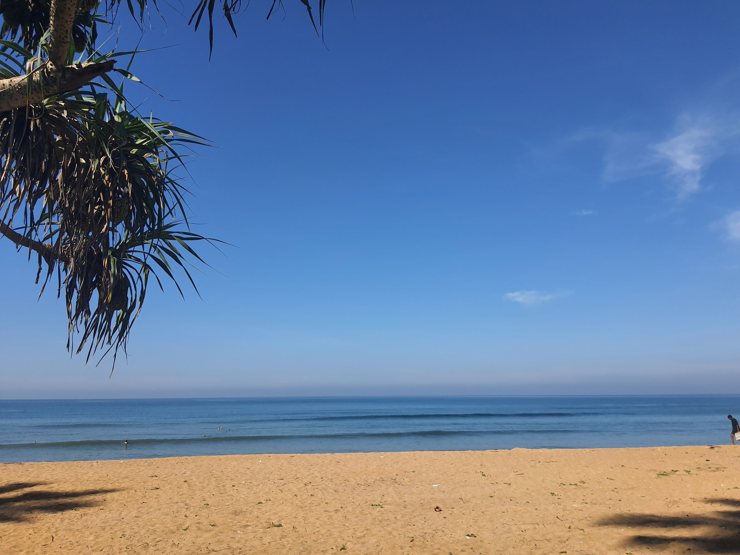 Шри-Ланка | 31.01 — 10.02.2025. Галерея Фантим