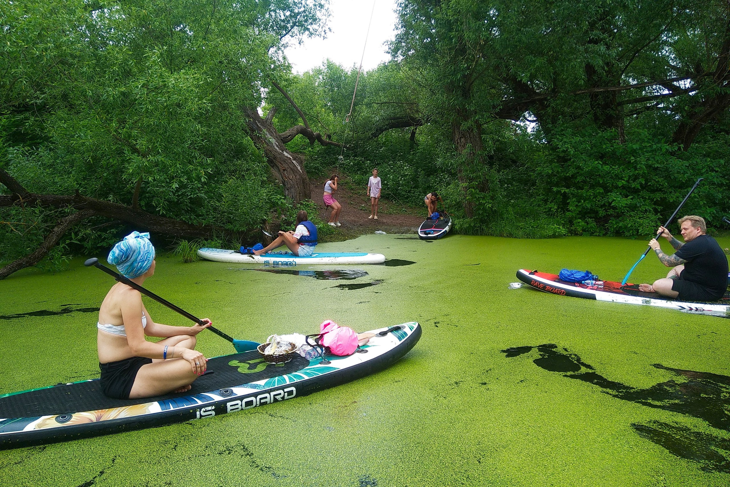 Сплав на сапах | 16.06.2024. Галерея Фантим