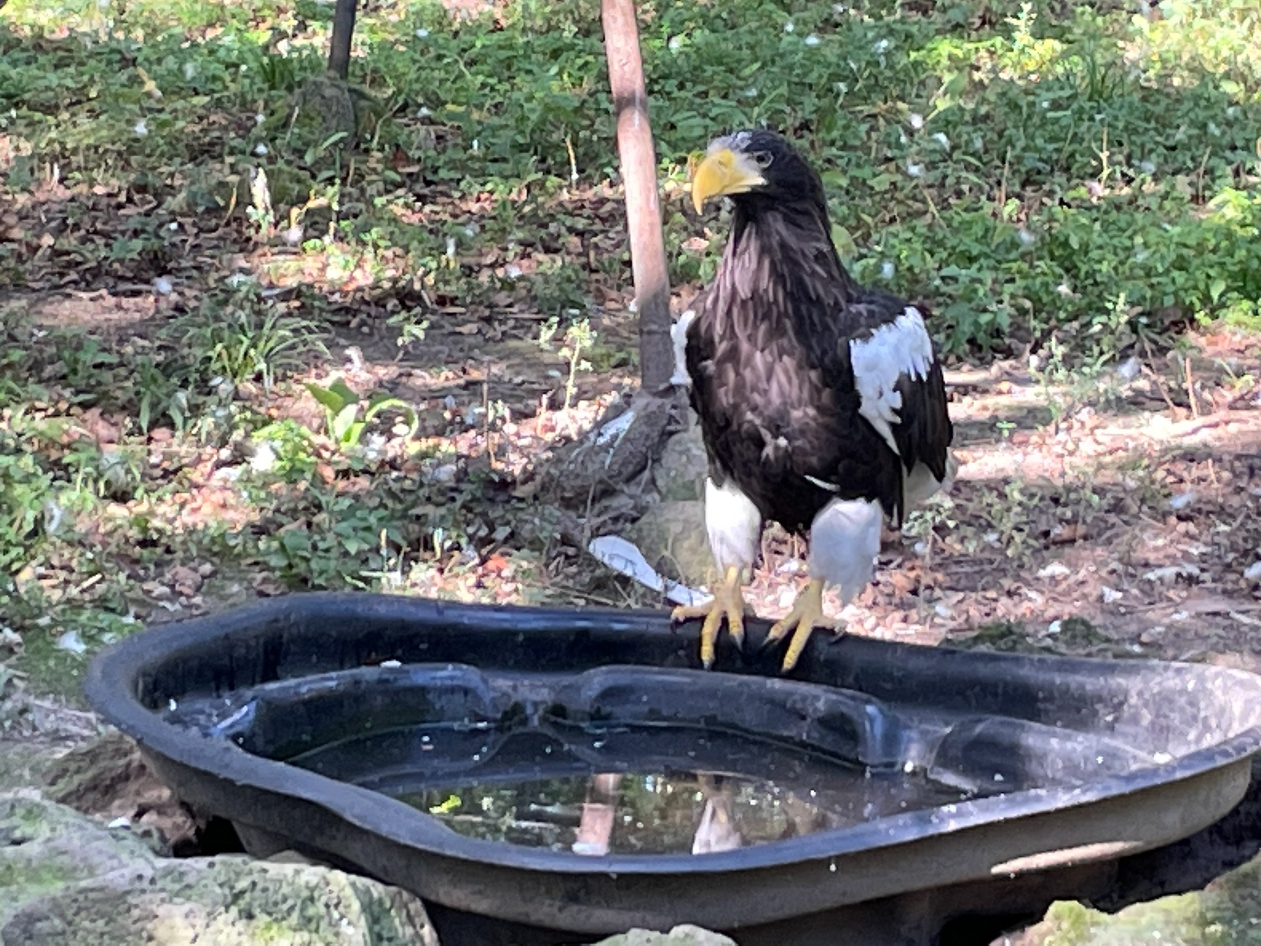 Владивосток 1 | 18-21.09.2025. Галерея Фантим