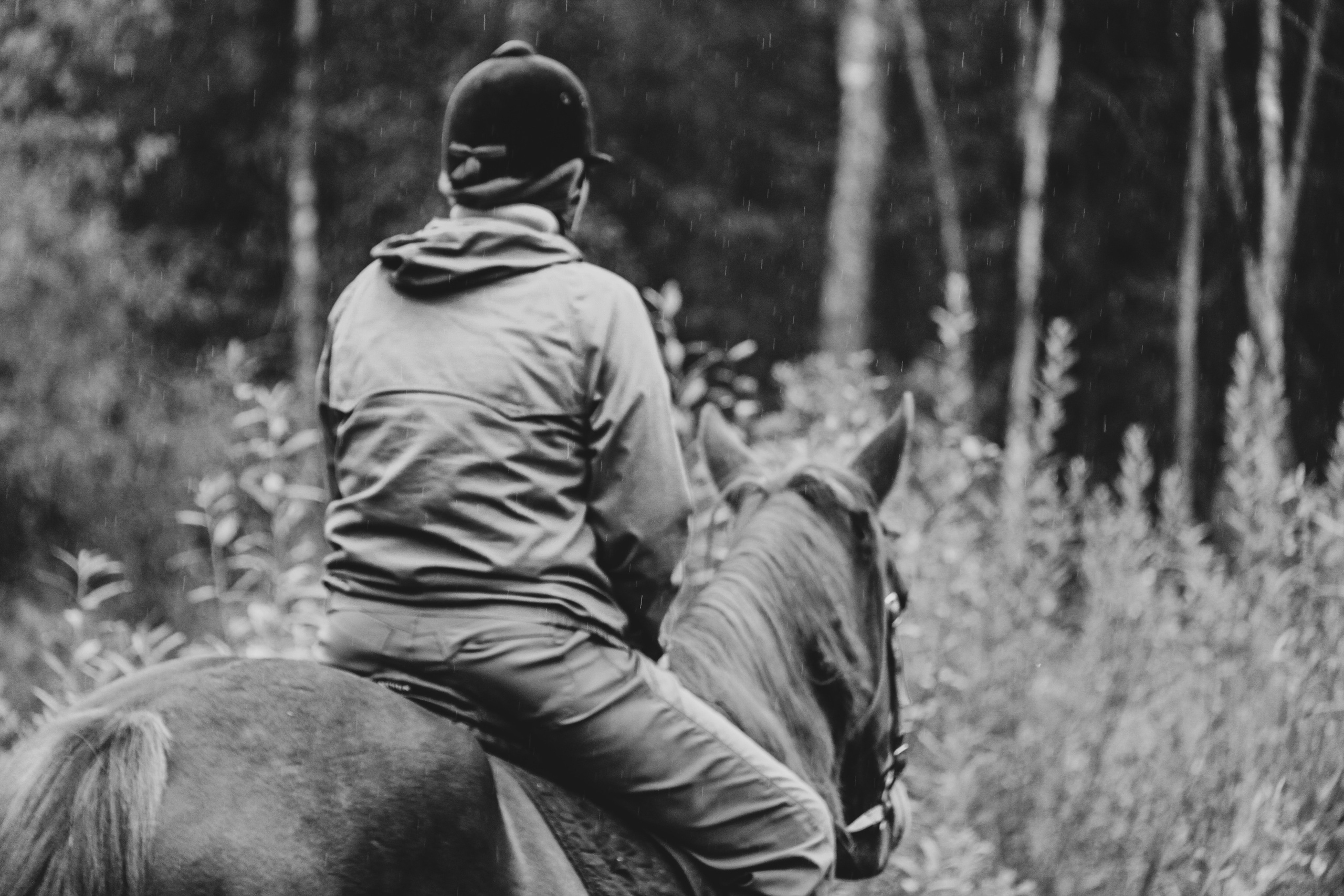 Лошадинг | 27.09.2025. Галерея Фантим