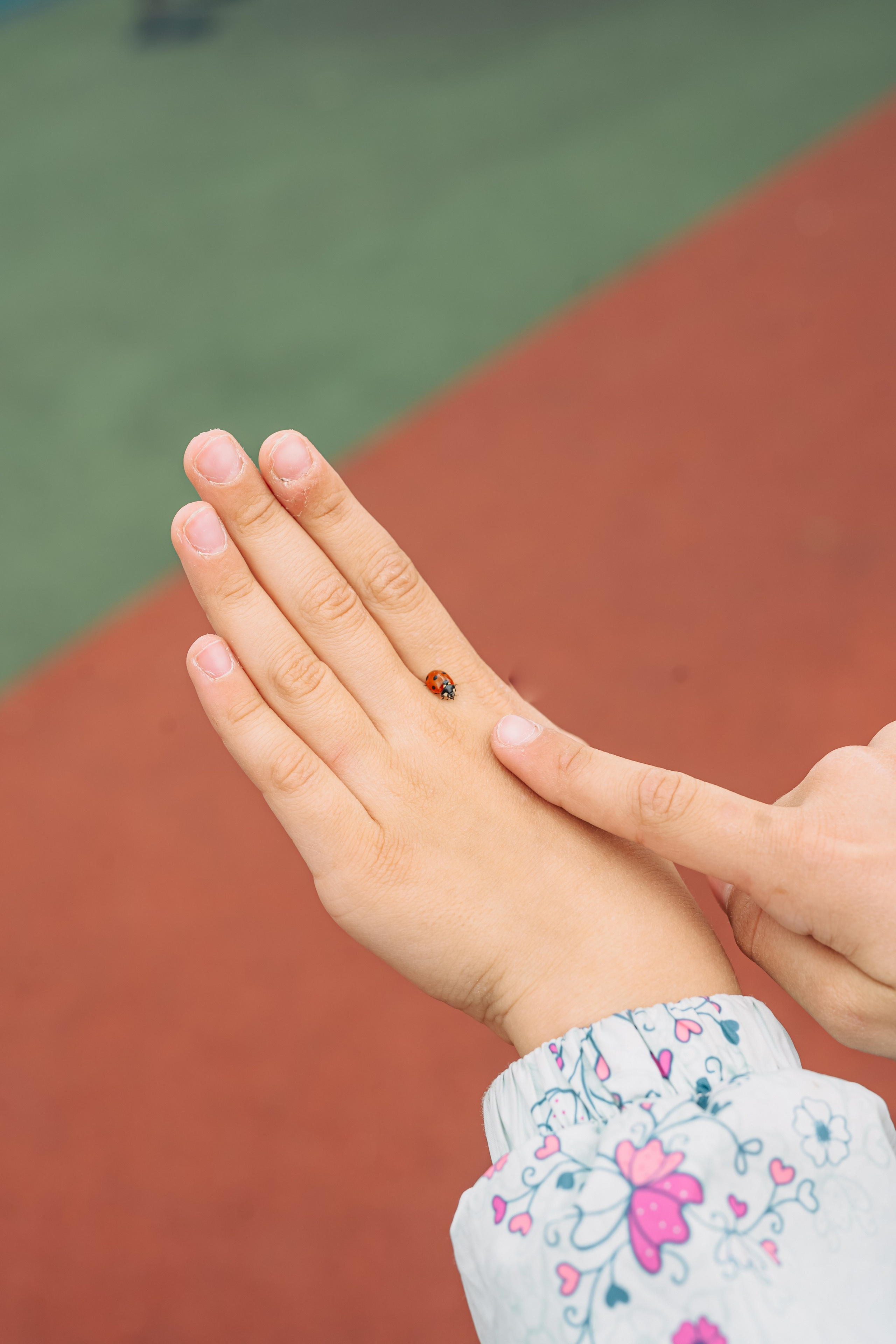 1 класс. Школьные альбомы и альбомы для детского сада. Юлия Осипова. Москва