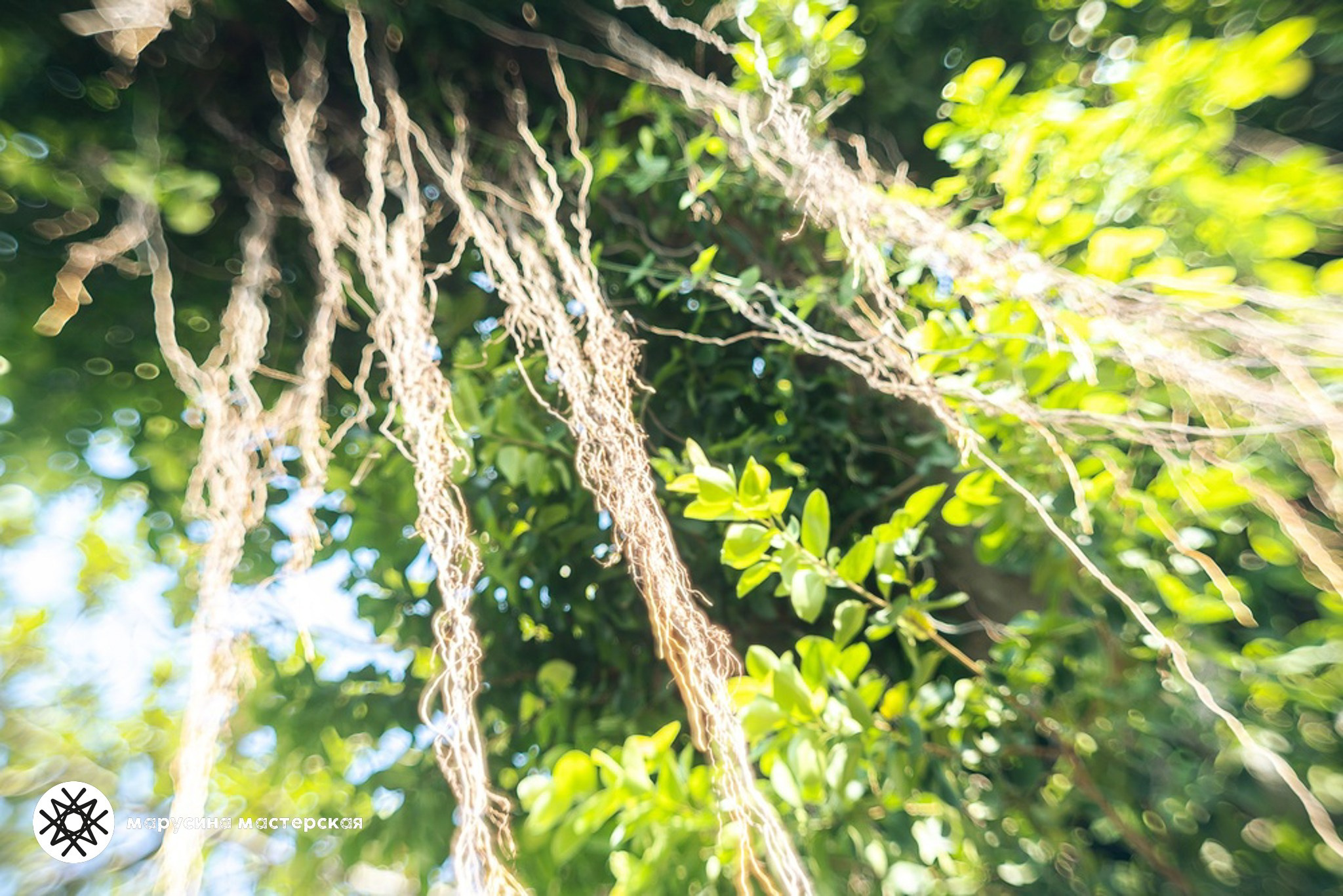 Творческая фотография, снятая в рамках зимней творческой практики, автор — Ксения Щеглова