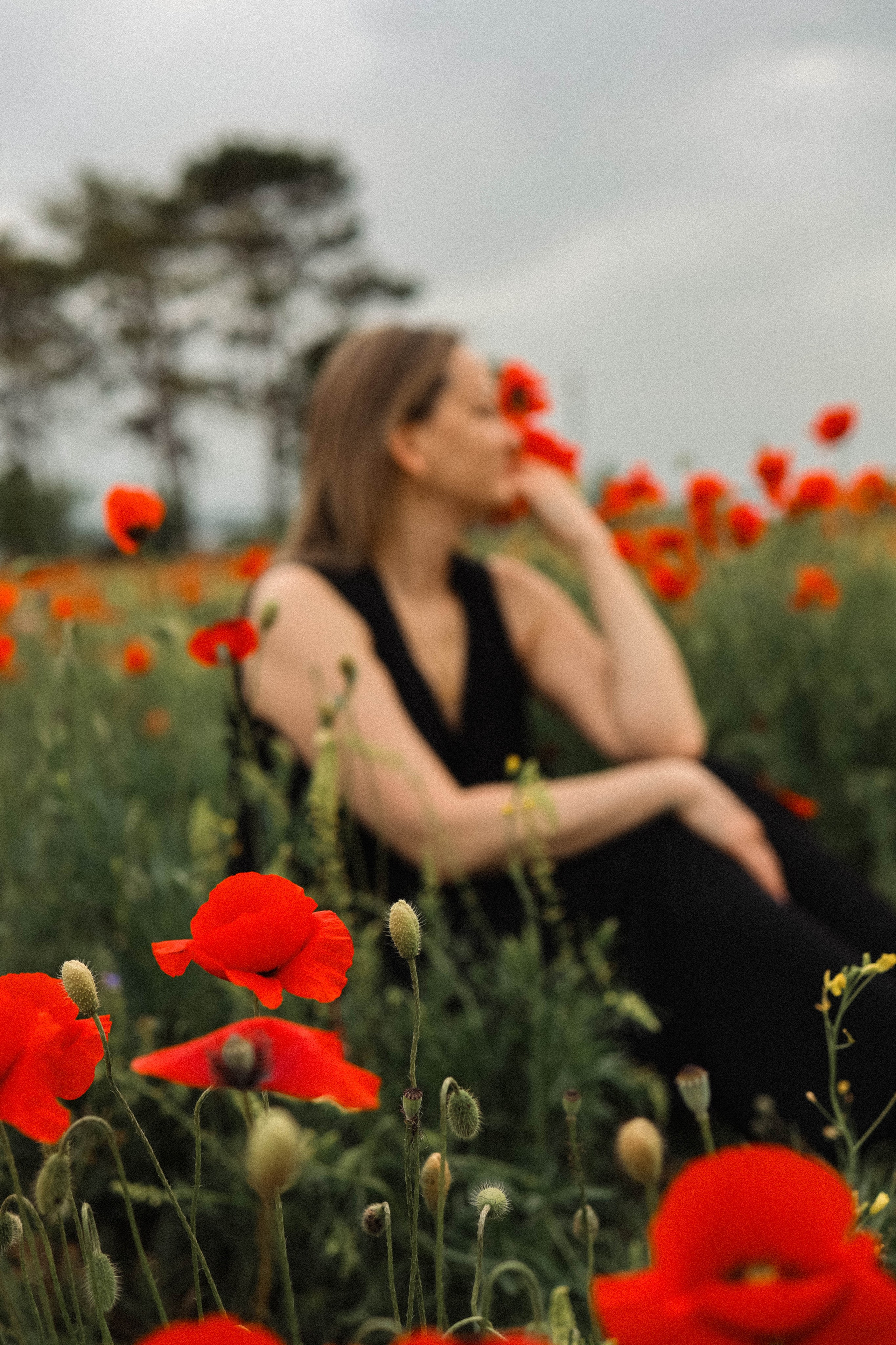 Маки. Фотограф Немазенко Ольга