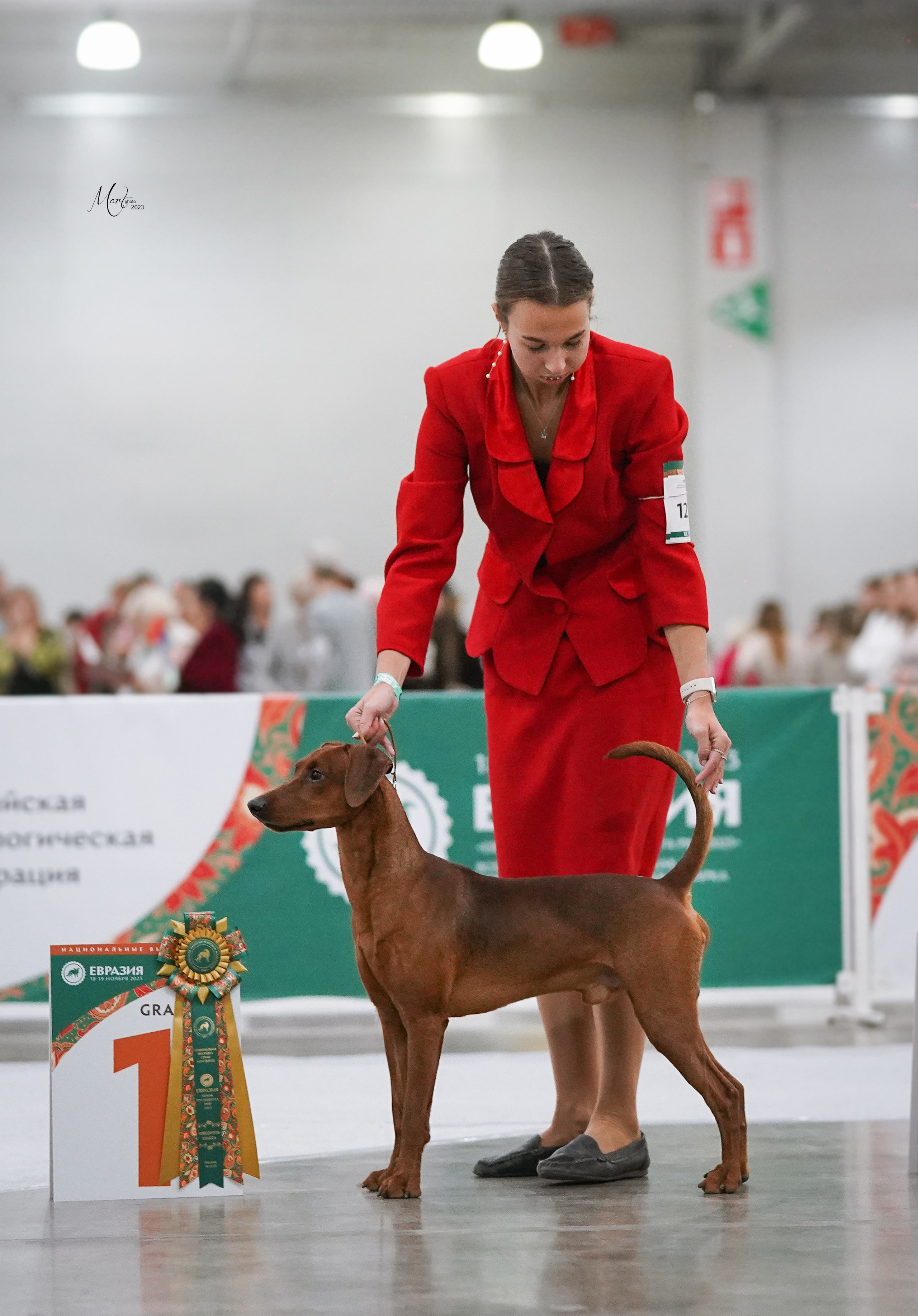 Выставки 2023. Фотограф-анималист в Санкт-Петербурге Яна Мартынова